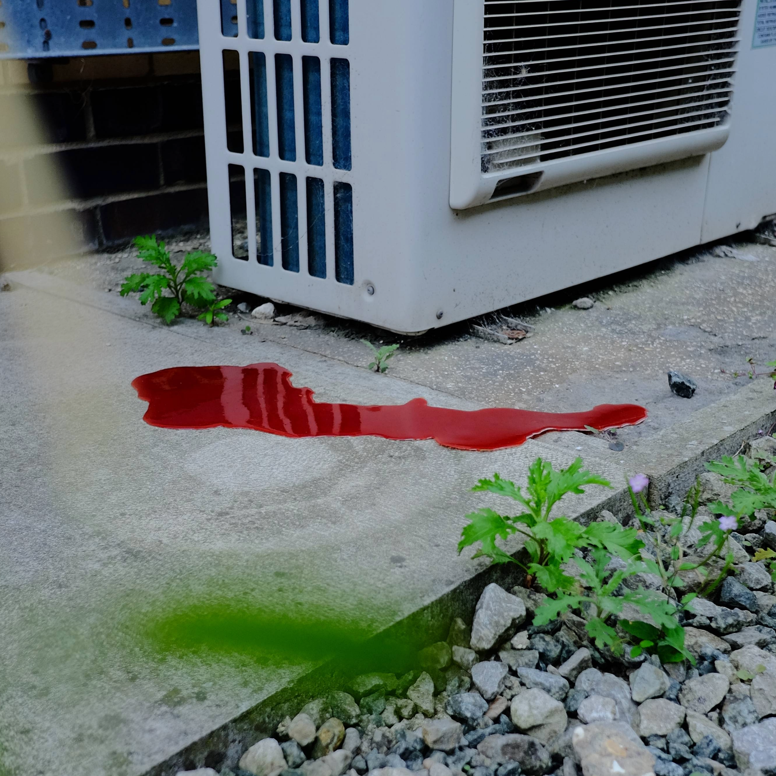Blood Pool