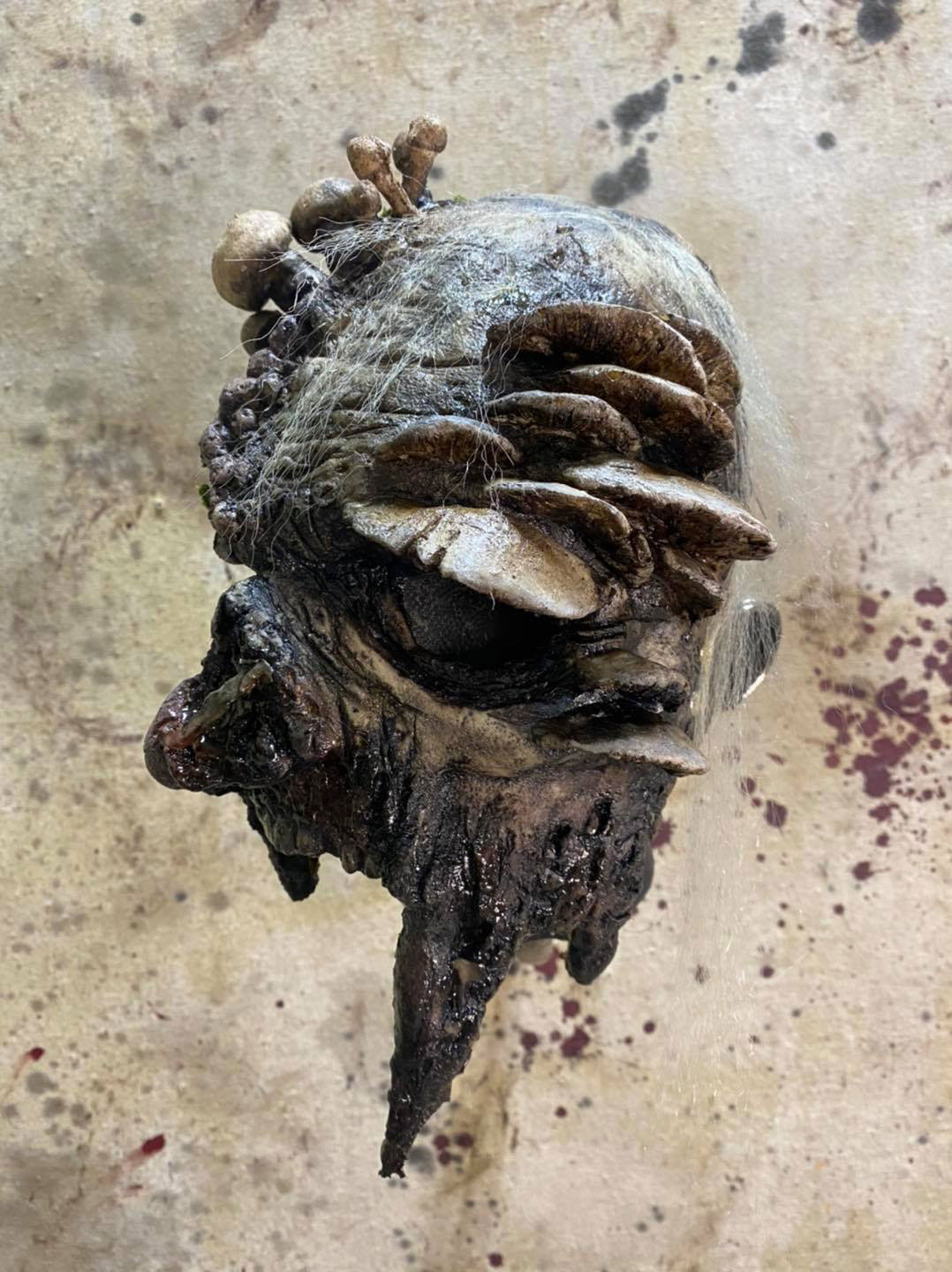Masque Champignon à Pulpe de Citrouille