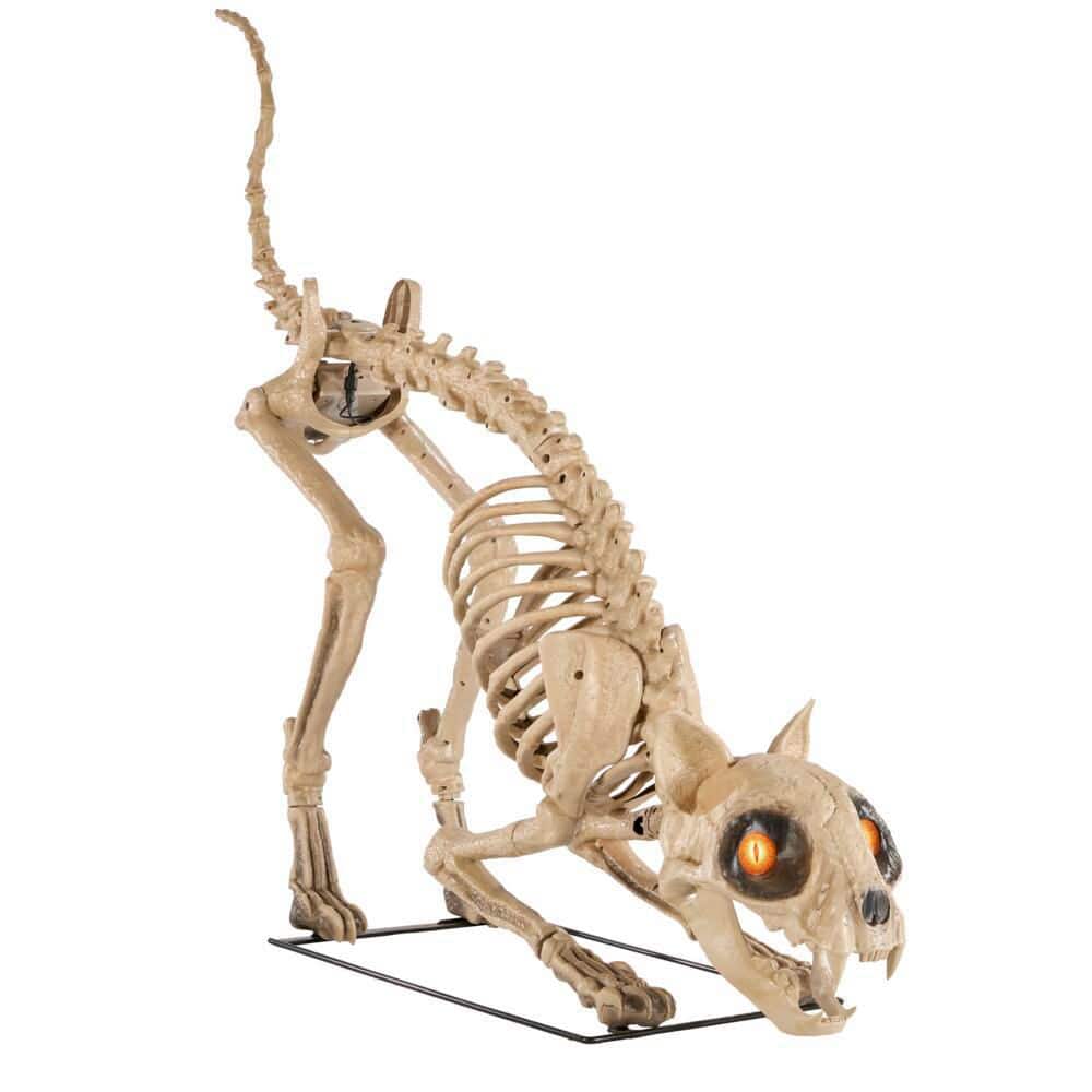 5ft Grave & Bones LED Skelly's Cat Halloween Decoration