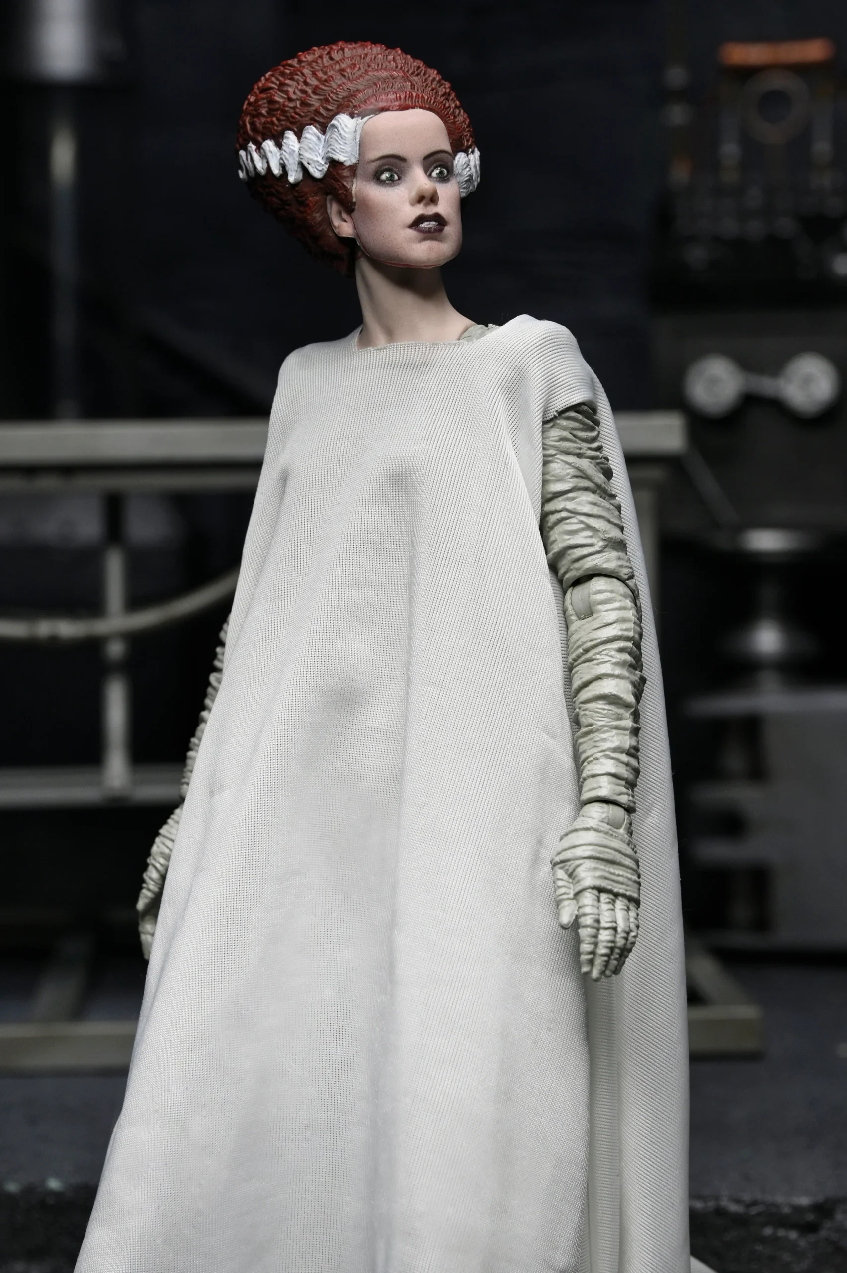 NECA Bride of Frankenstein - The Monster and His Bride 7