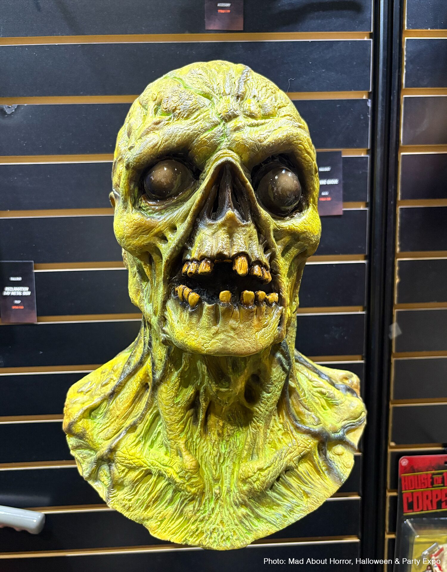 Fallout - Glowing Ghoul Mask