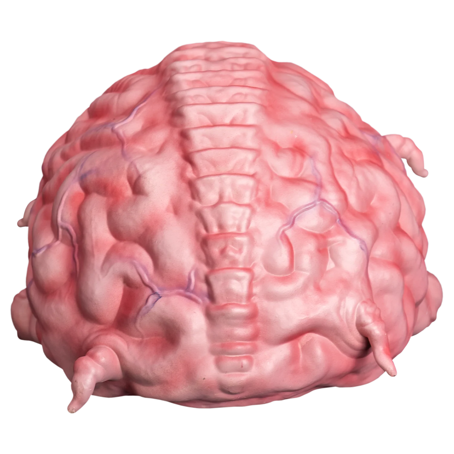 Teenage Mutant Ninja Turtles - Krang Prop