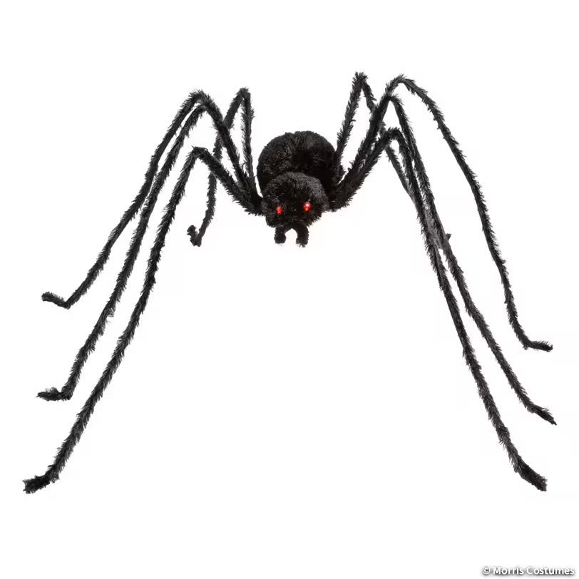 Beleuchte haarige schwarze Spinne