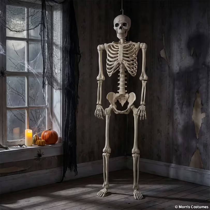 5ft Multi Pose-N-Stay Skeleton