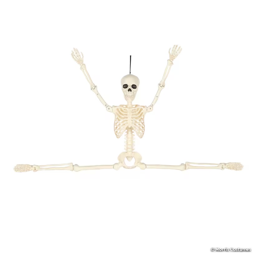 5ft Multi Pose-N-Stay Skeleton