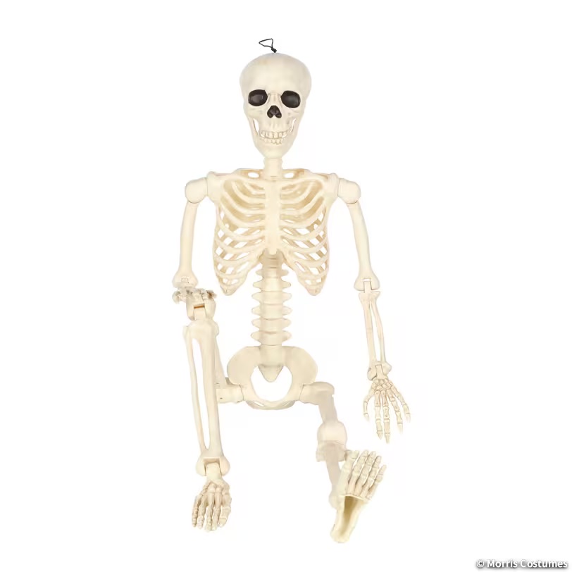 5ft Multi Pose-N-Stay Skeleton