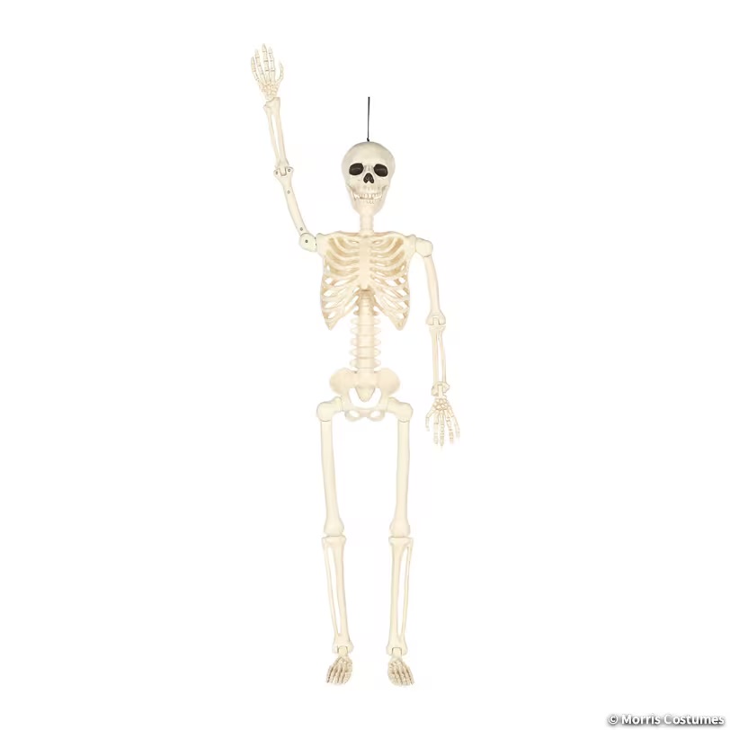 5ft Multi Pose-N-Stay Skeleton