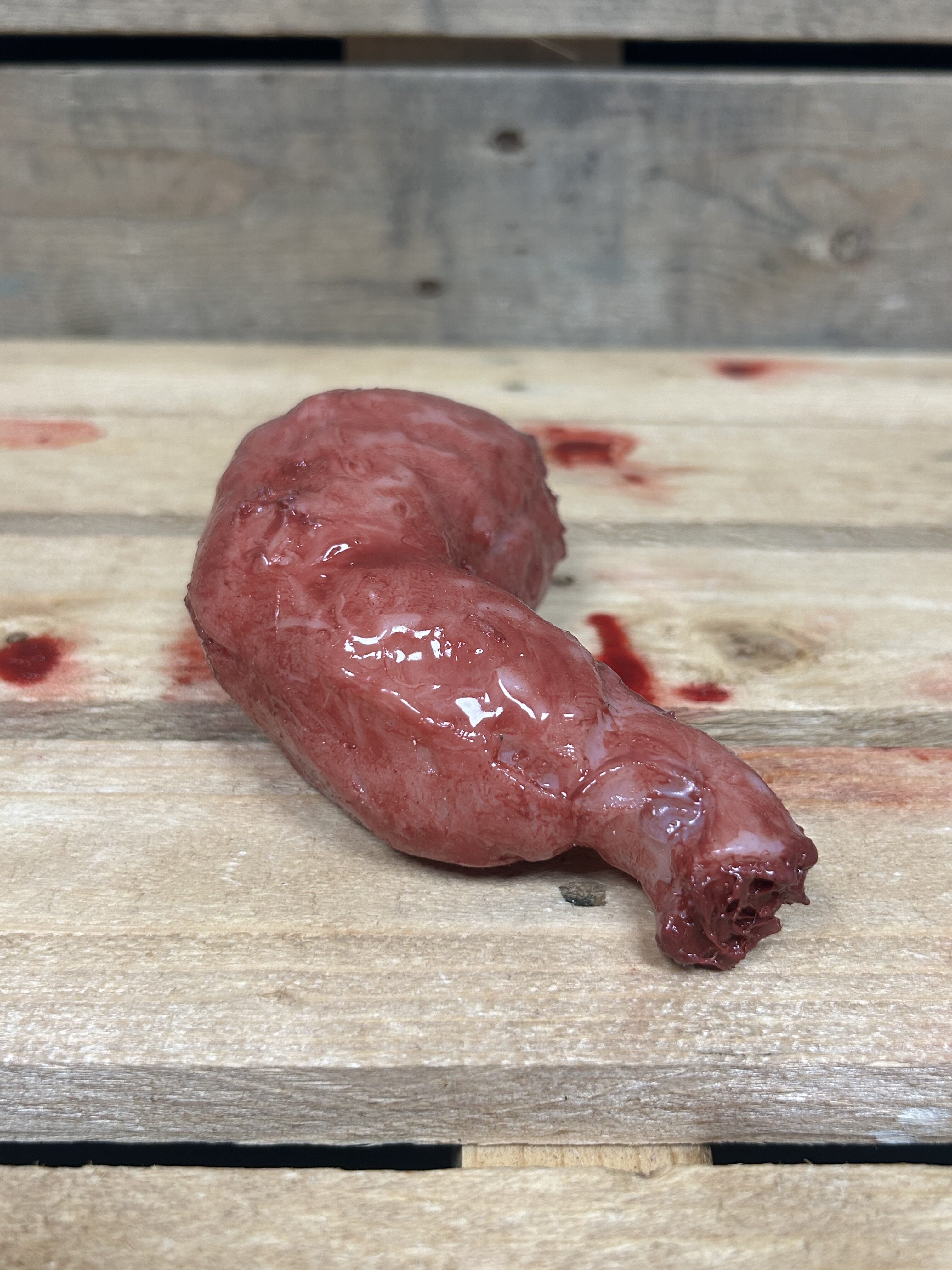 Silicone Stomach