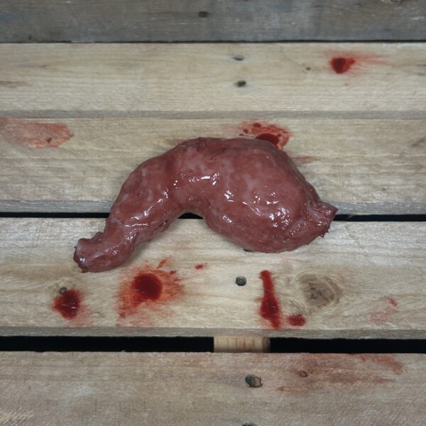 Silicone Stomach