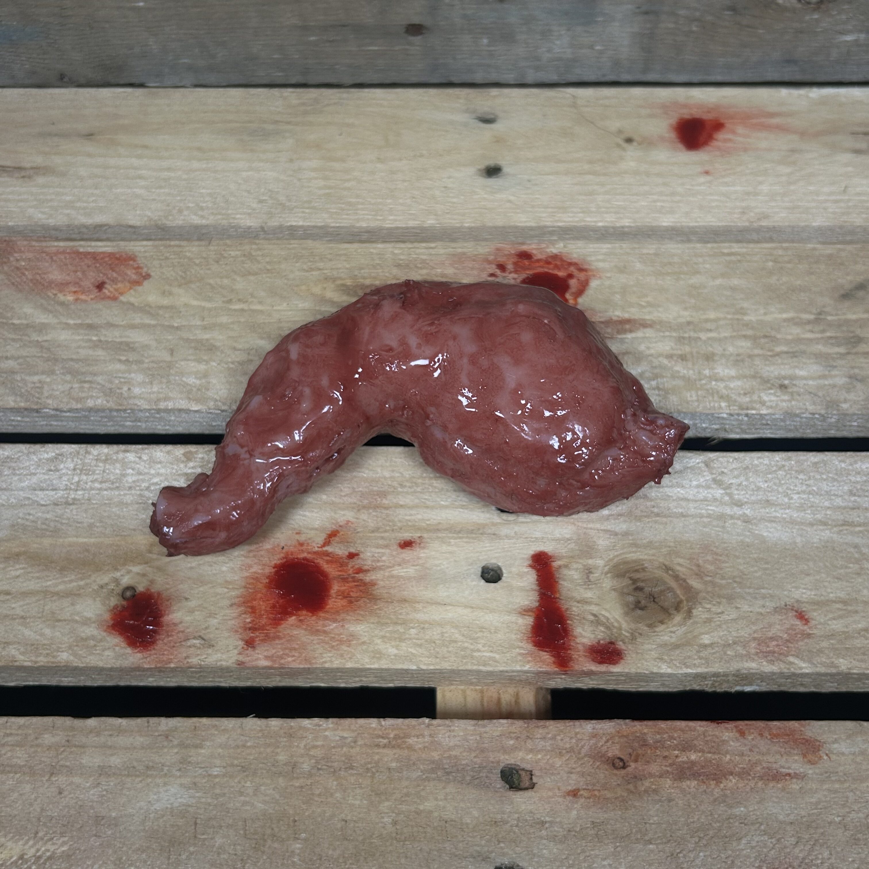 Silicone Stomach
