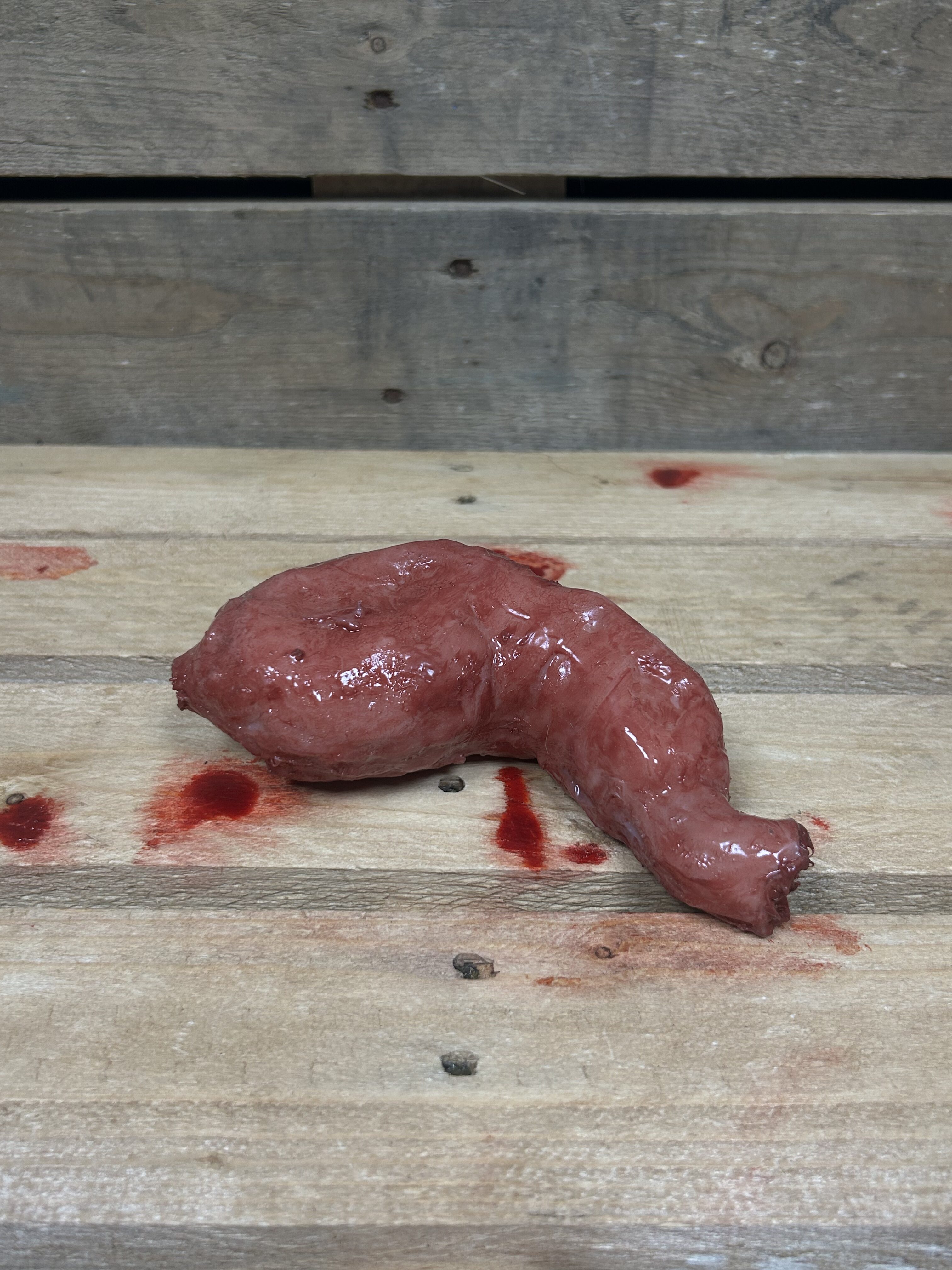 Silicone Stomach