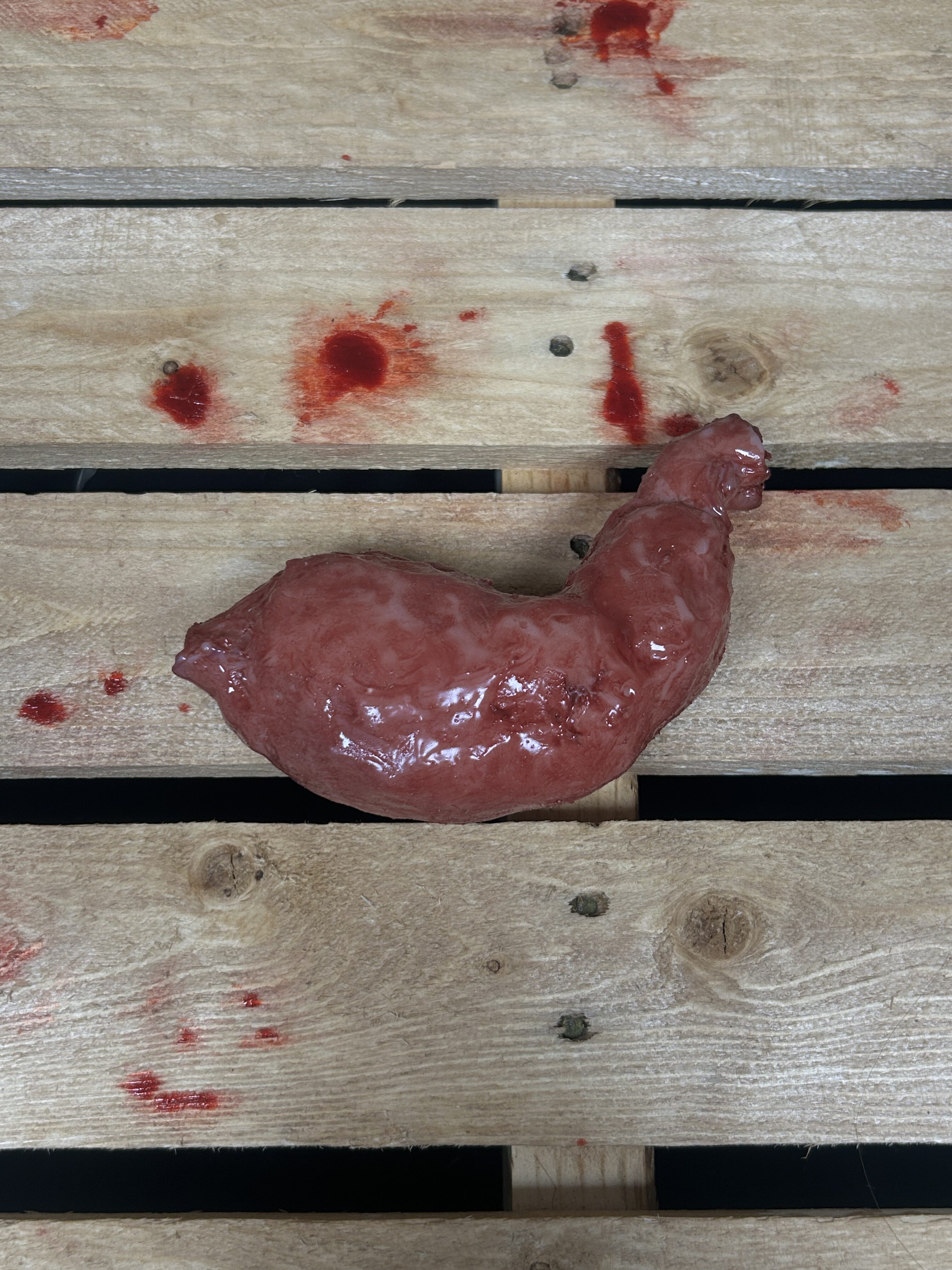 Silicone Stomach
