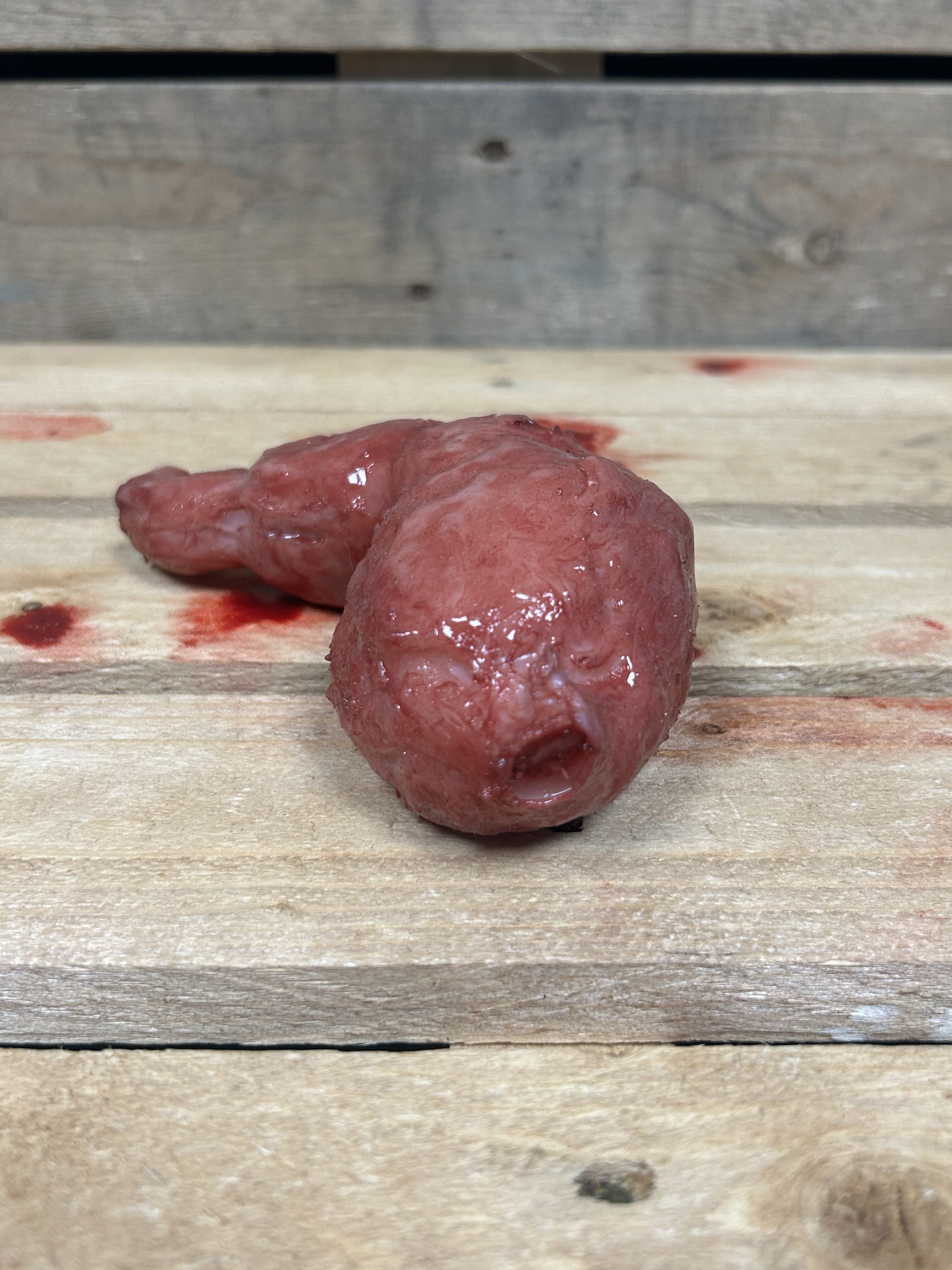 Silicone Stomach