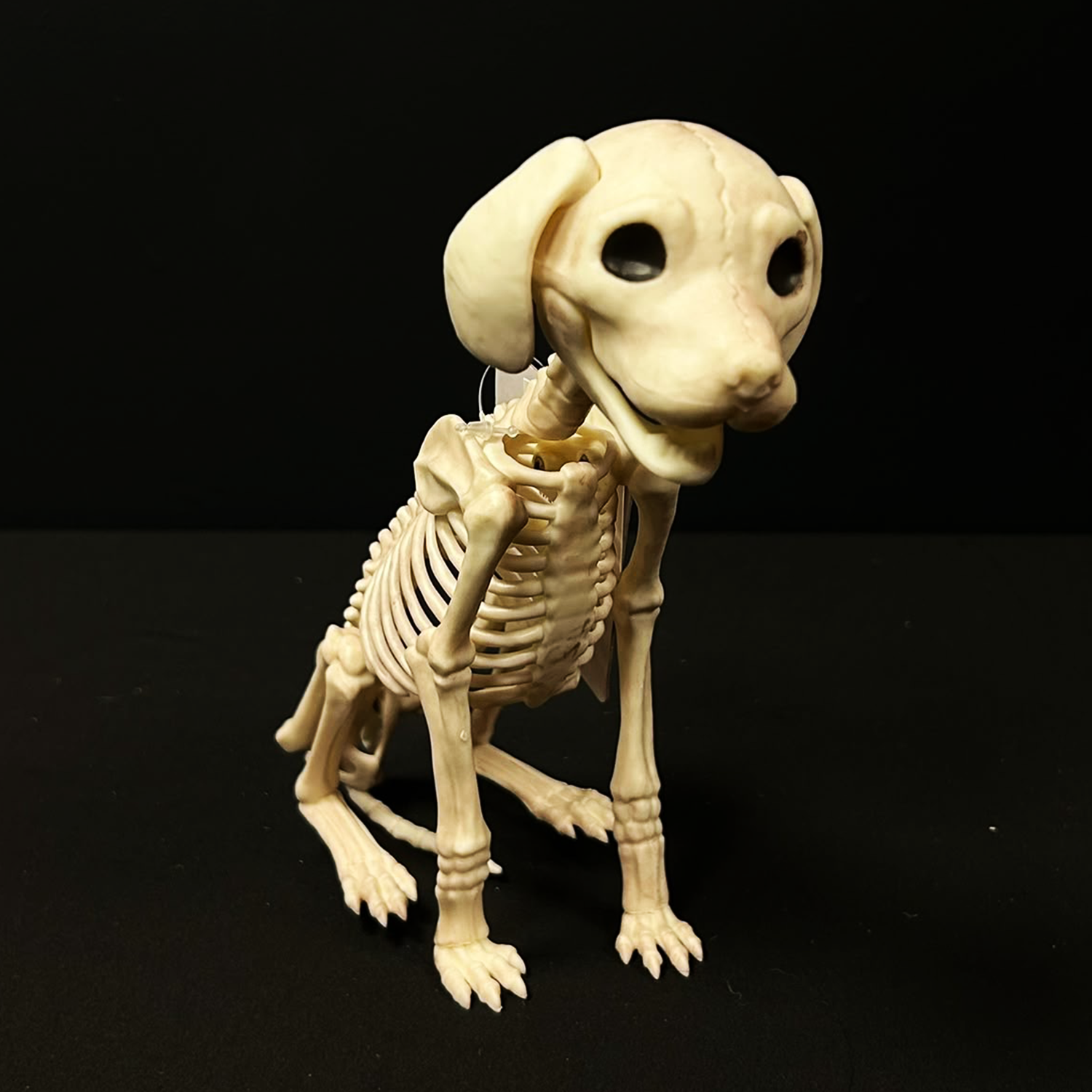 Skelebones Sitting Puppy Halloween Decoration