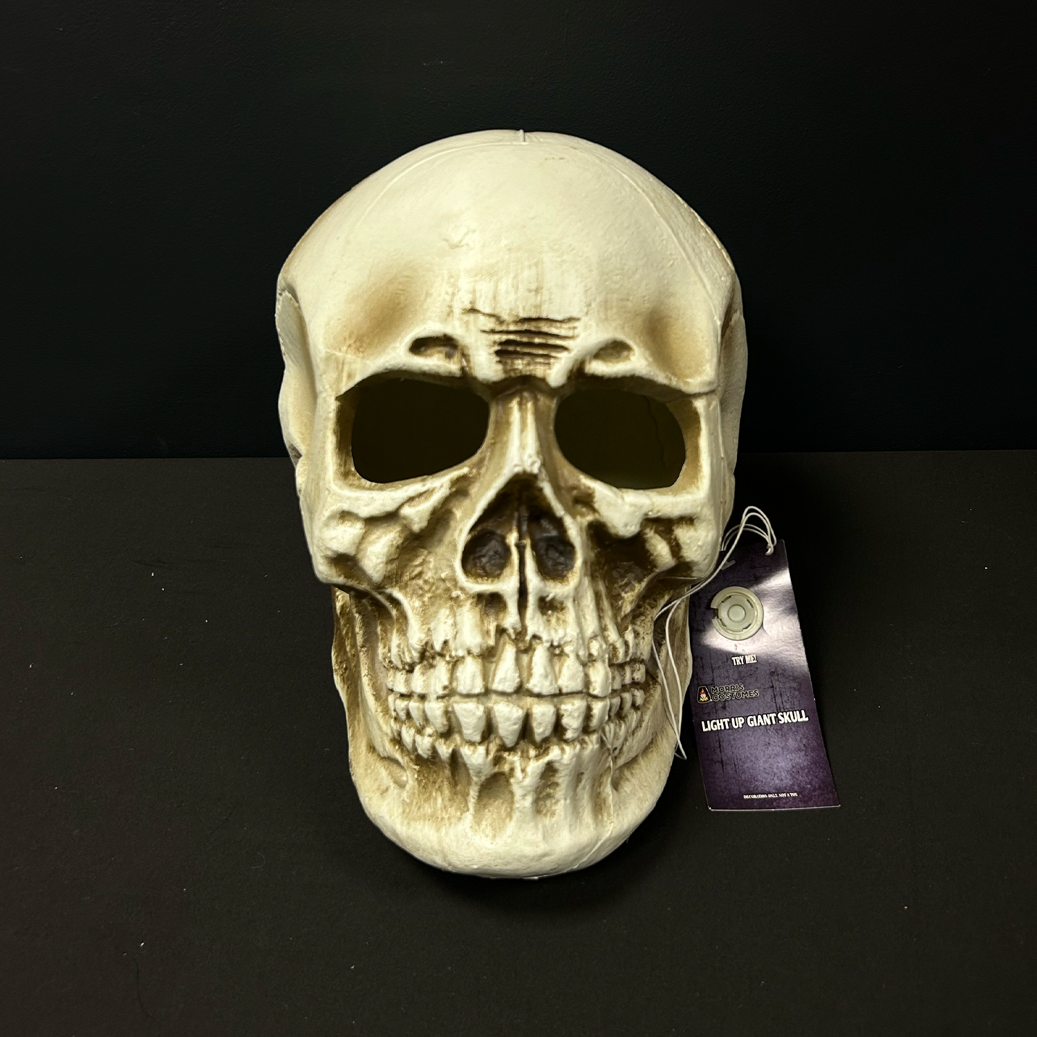 Giant Light-Up Skull Halloween Decoration