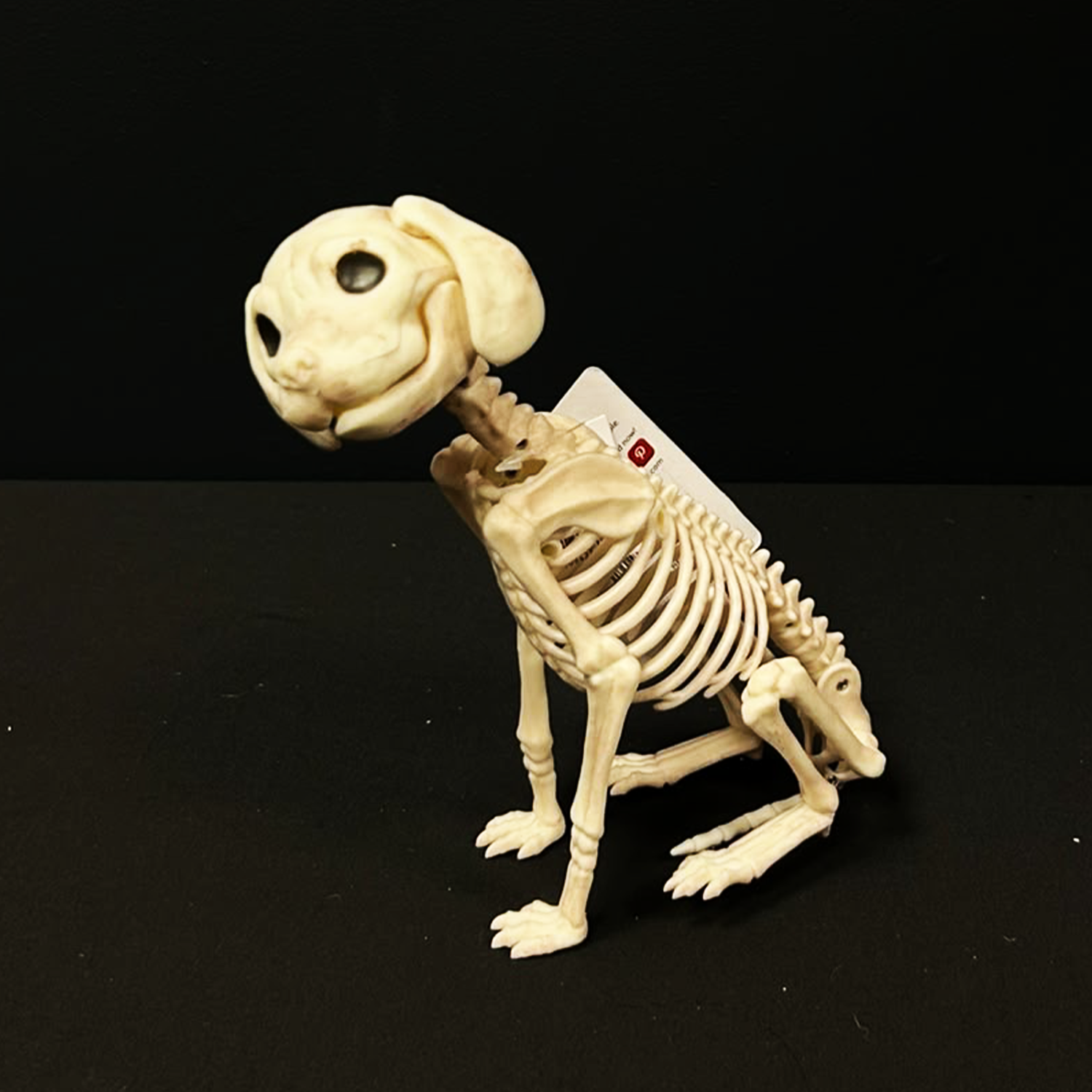 Skelebones Sitting Puppy Halloween Decoration