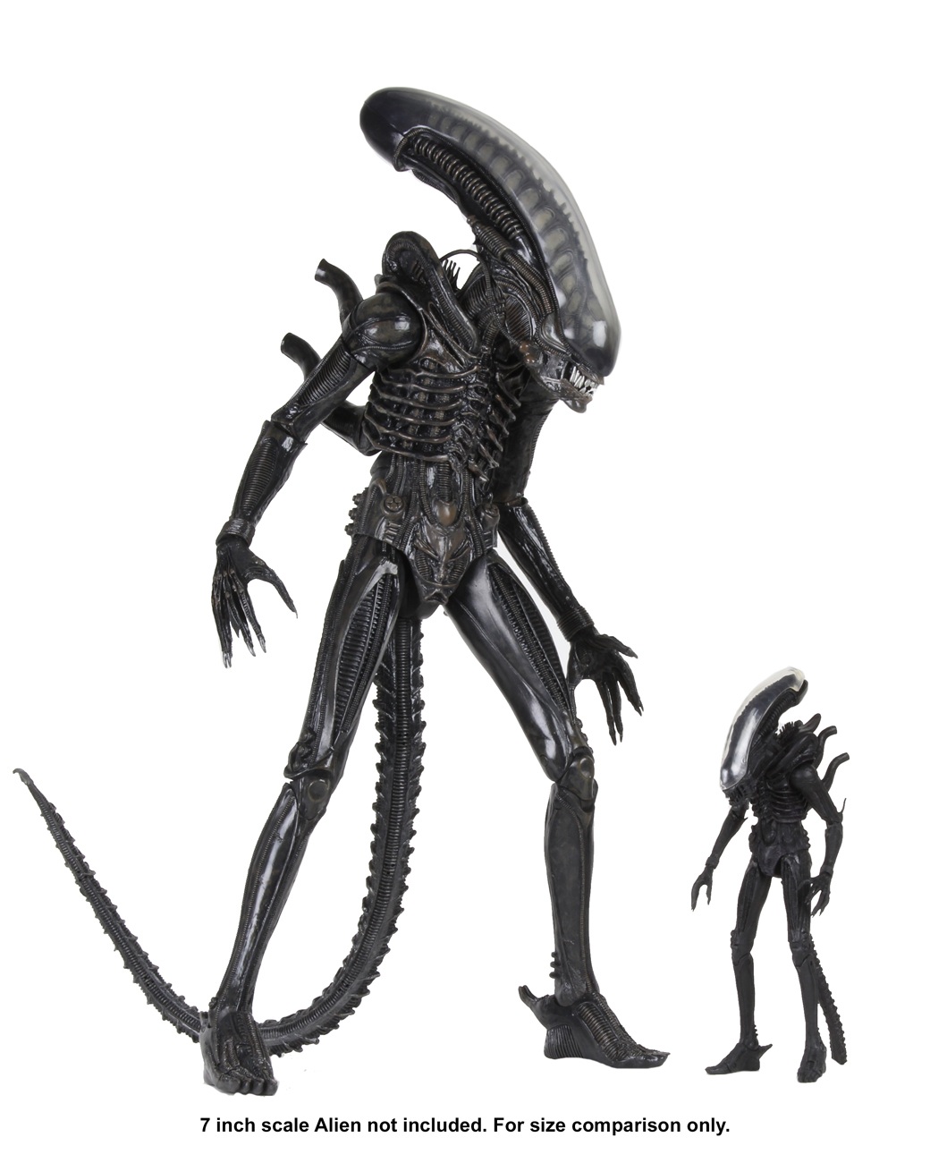 NECA Alien (40th Anniversary) - Big Chap Xenomorph 1/4 Scale Action Figure