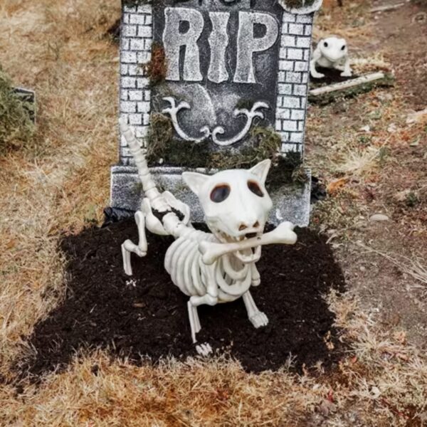 A cute skeleton dog Halloween decoration.