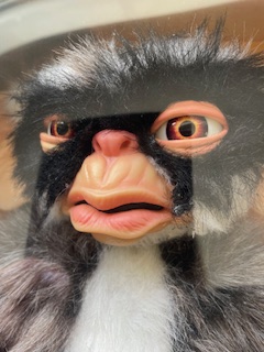 Gremlins 2 : The New Batch George Mogwai Prop (IMPERFECT)