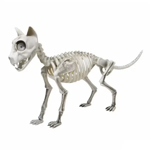 Ein Foto einer kleinen Skelettkunst-Katzen-Halloween-Dekoration.