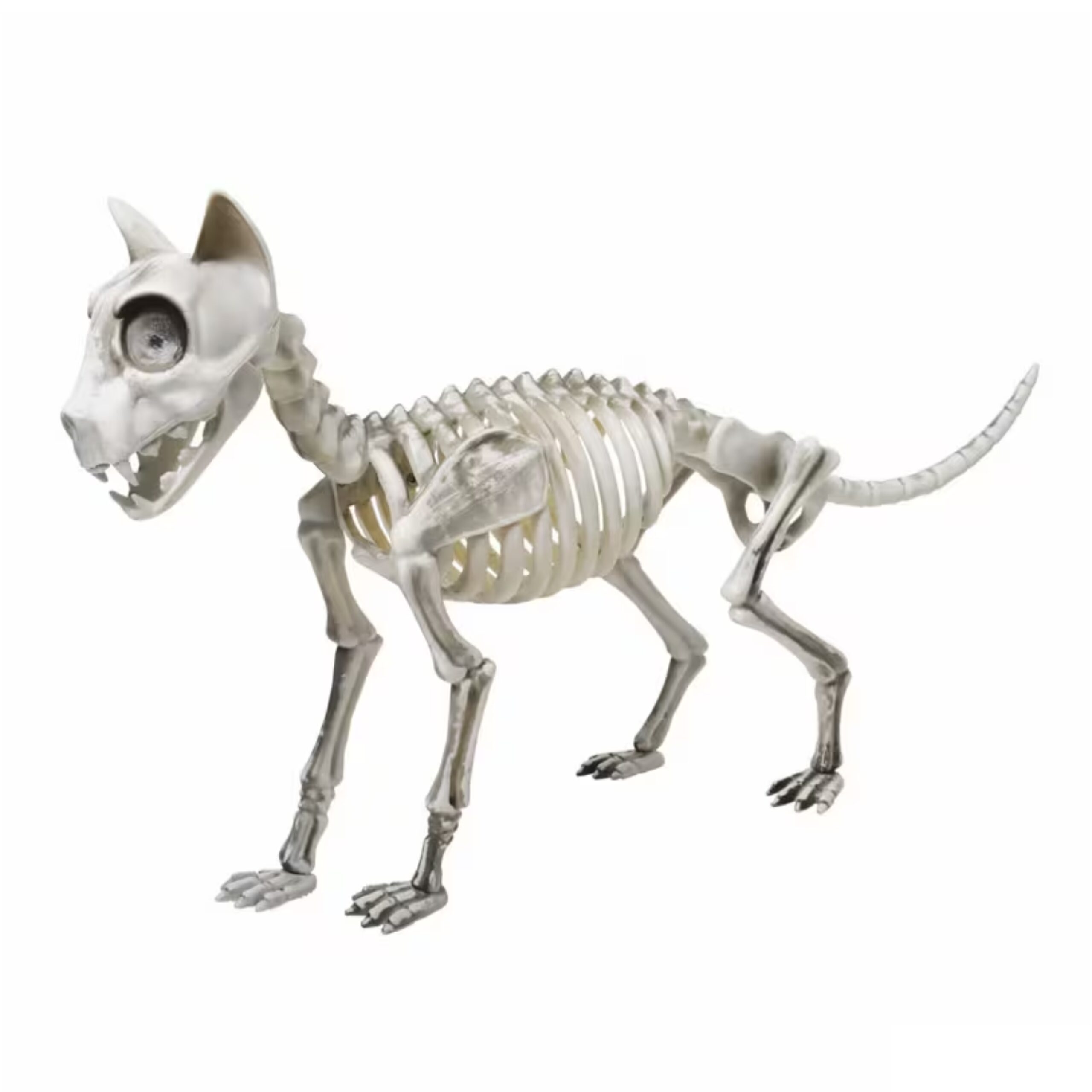 Skeleton Cat Halloween Decoration