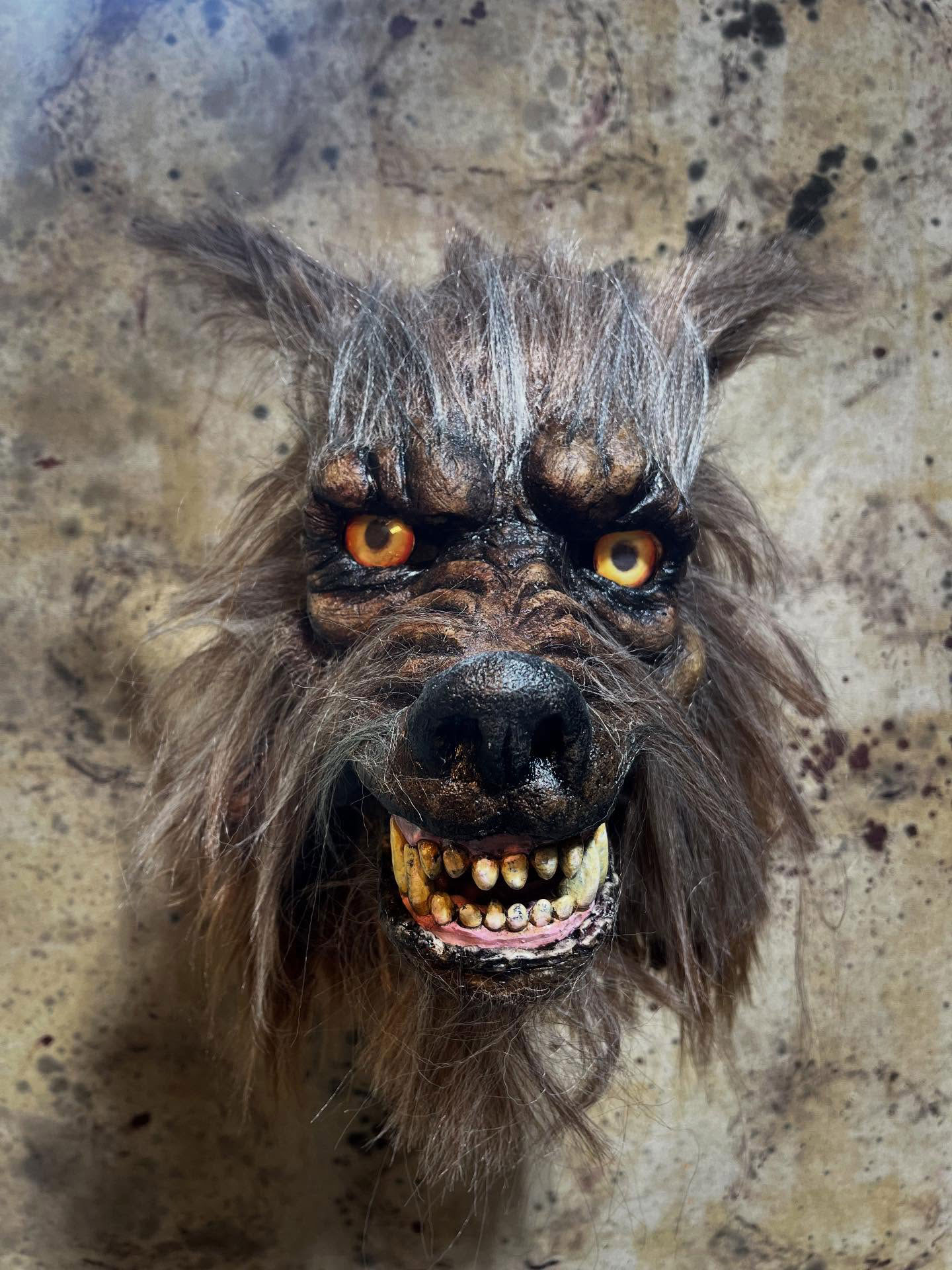 Pulpe de citrouille masque de loup-garou lune noire