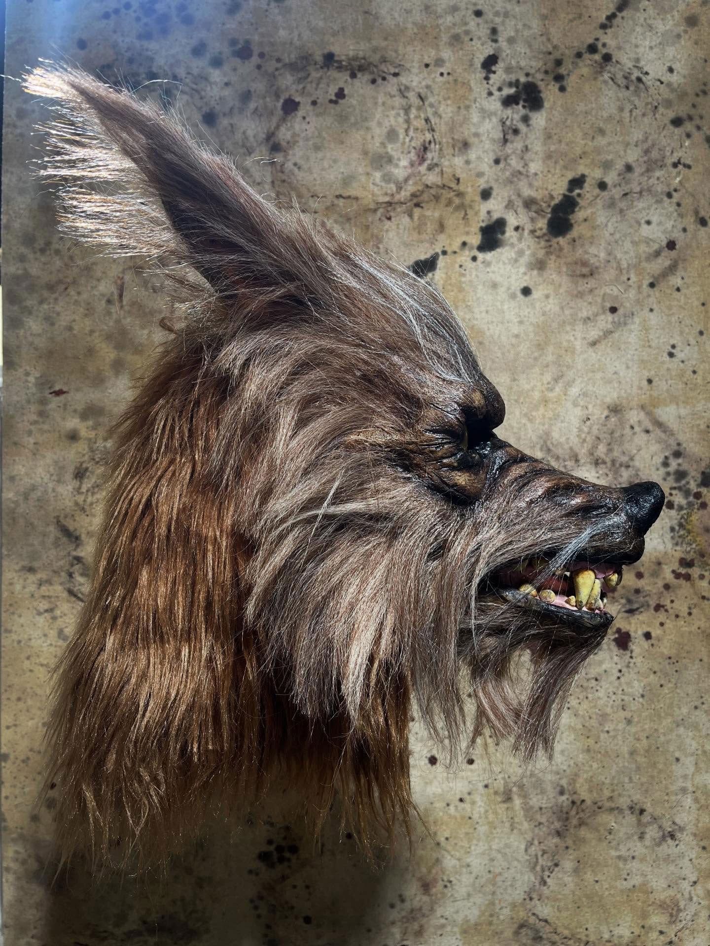 Pulpe de citrouille masque de loup-garou lune noire