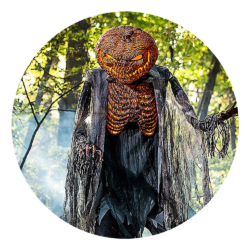 Animatroniques en stock