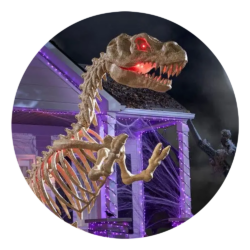 Animatronics rares aux États-Unis