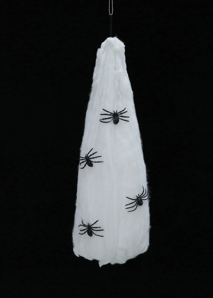 Animated Spider Egg Sack