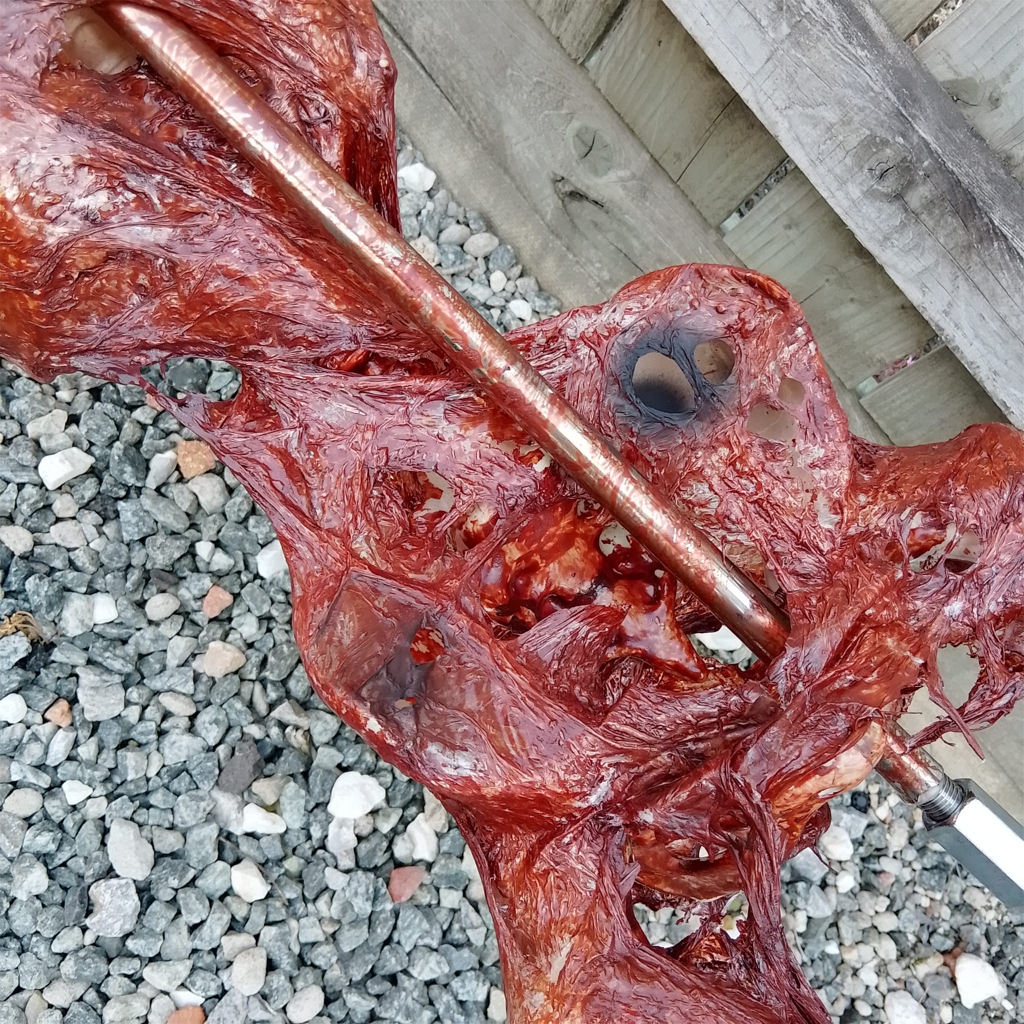 Lebensgroßes enthäutetes Skelett am Spieß
