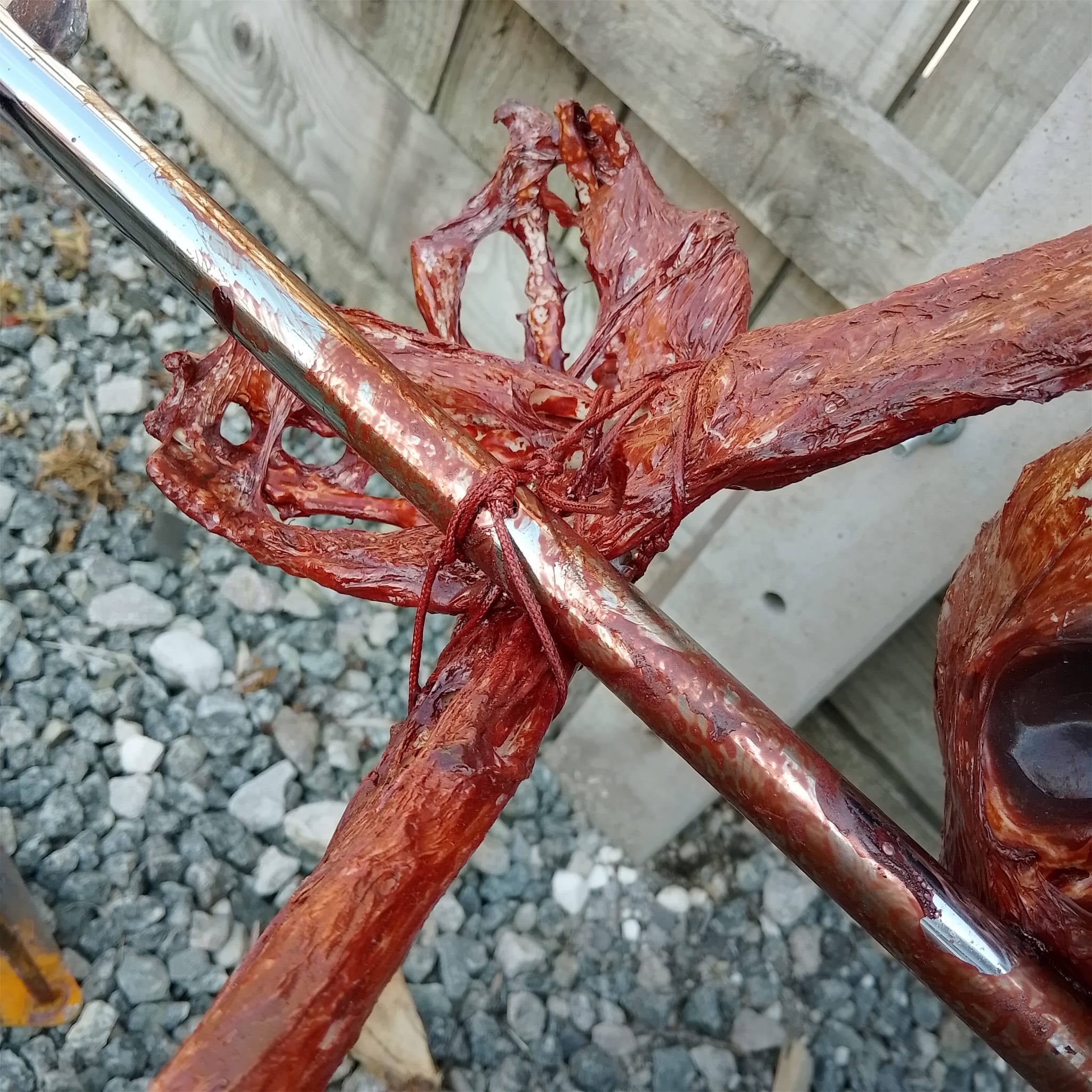 Lebensgroßes enthäutetes Skelett am Spieß