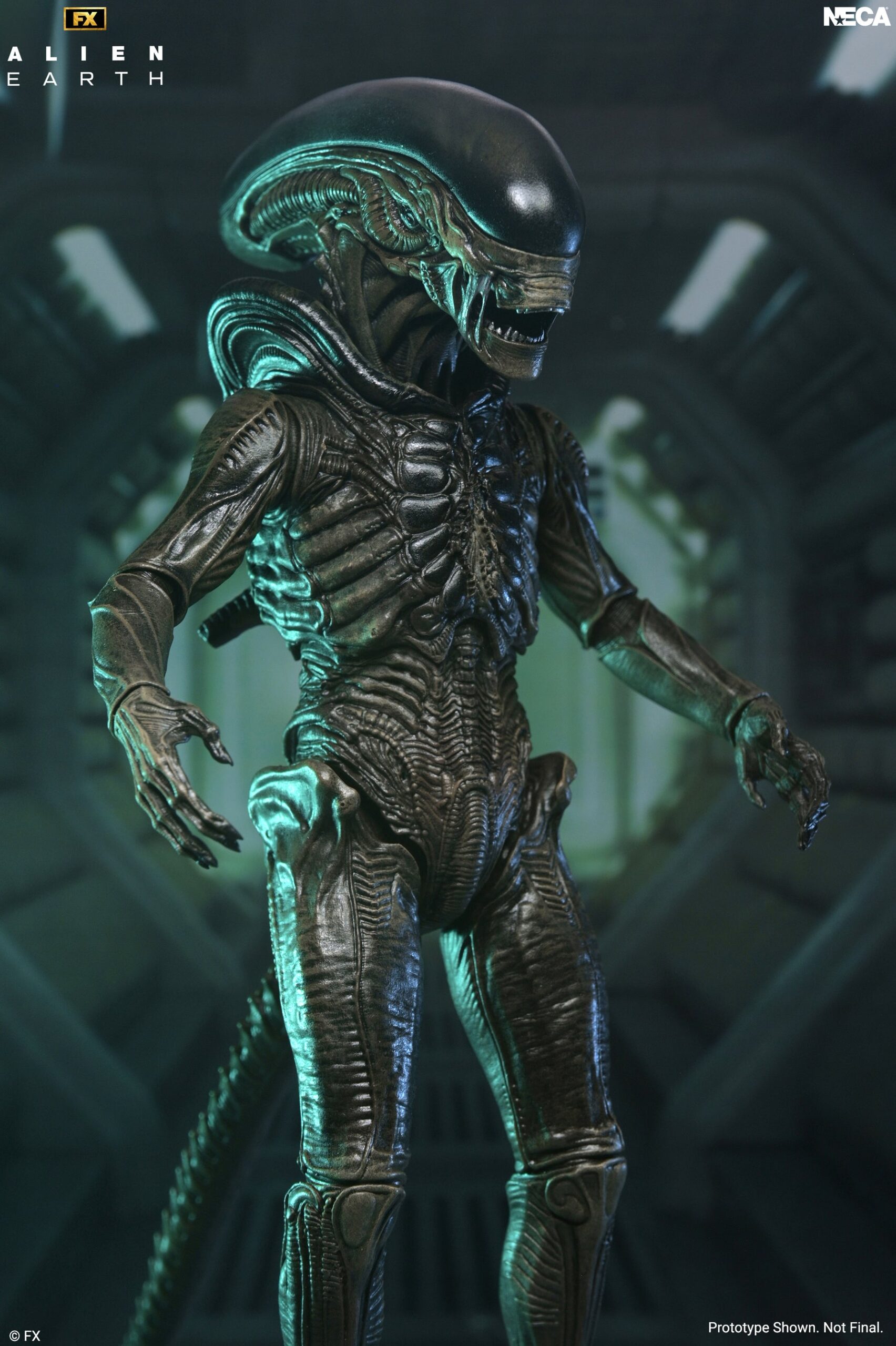 NECA Alien : Terre - Xénomorphe Ultime 7