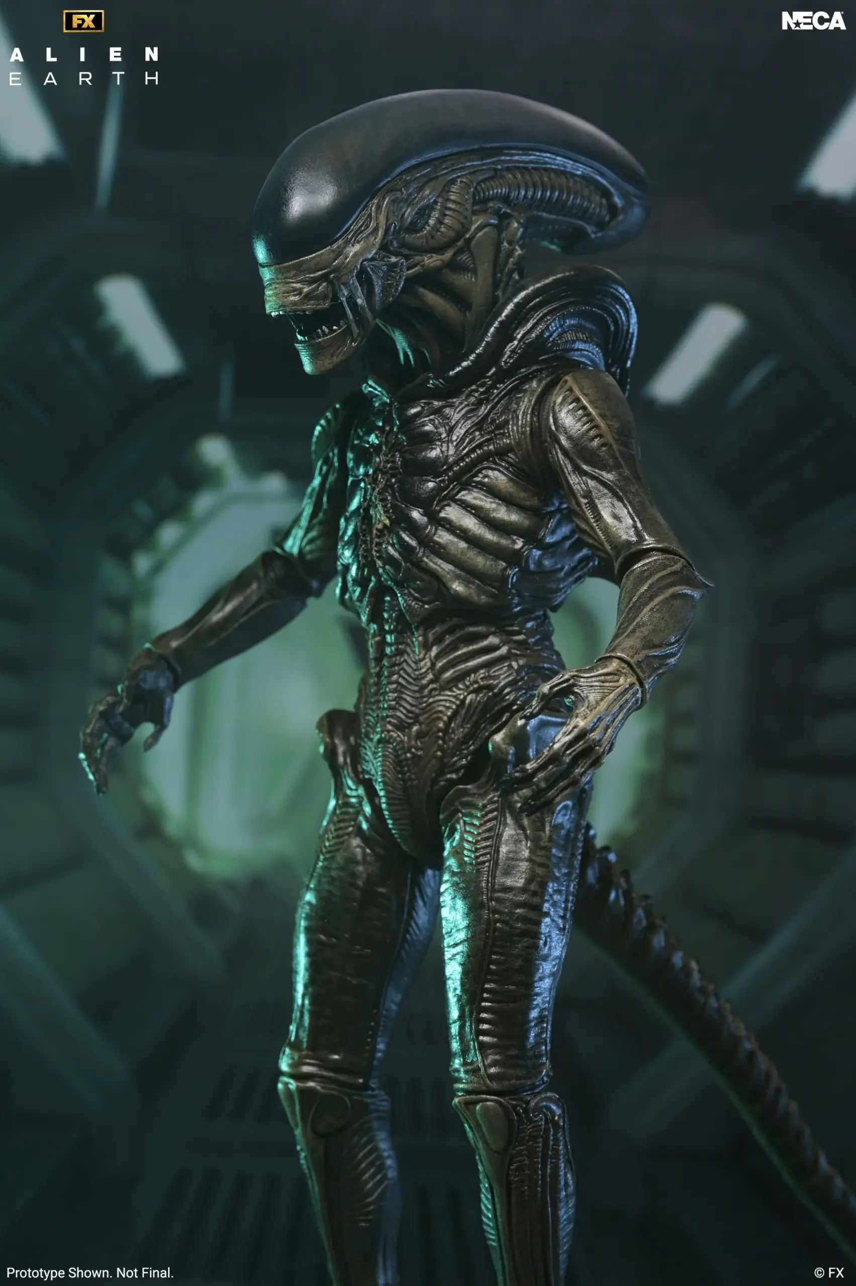 NECA Alien : Terre - Xénomorphe Ultime 7