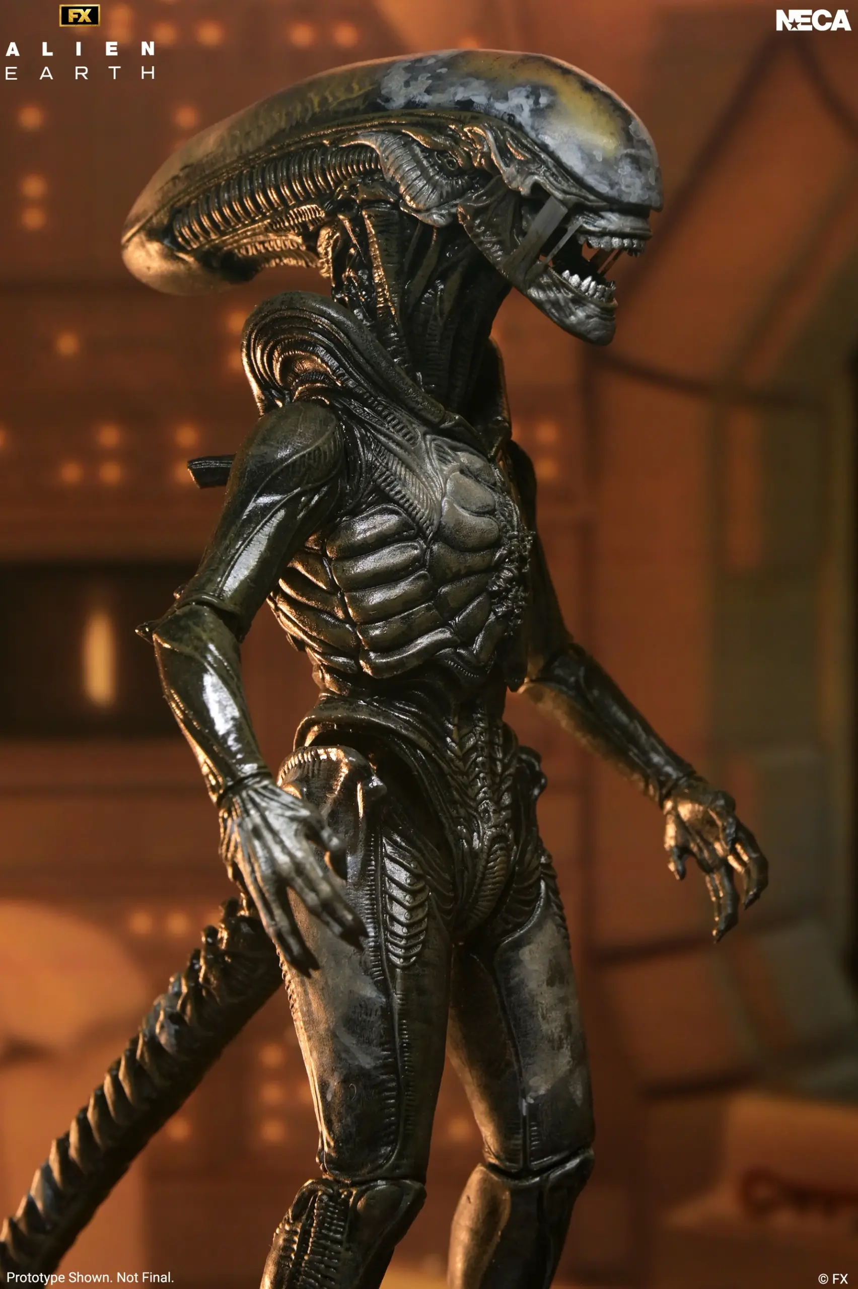 NECA Alien: Earth - Wendy's Xenomorph Ultimate 7