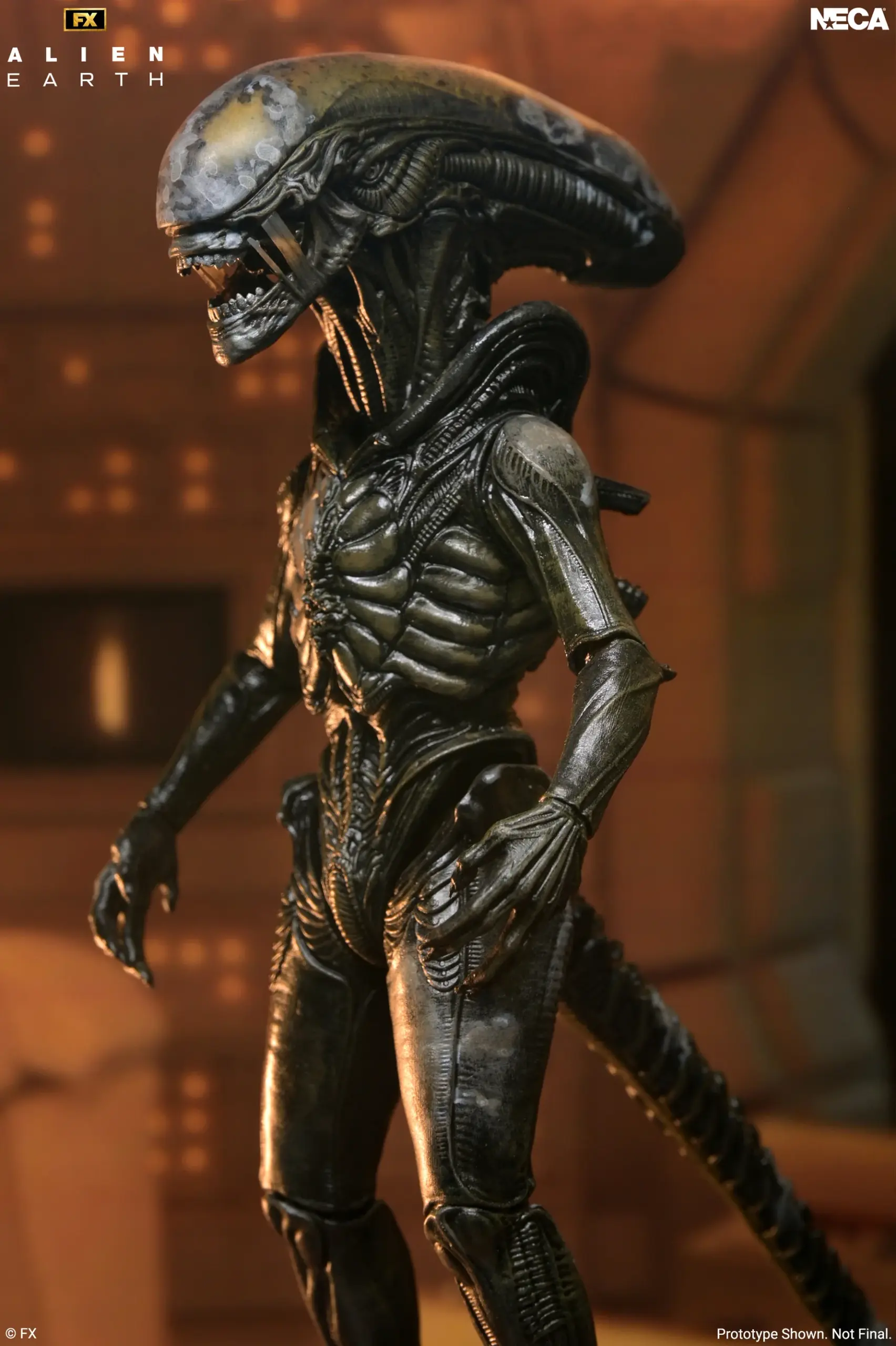 NECA Alien: Earth - Wendy's Xenomorph Ultimate 7