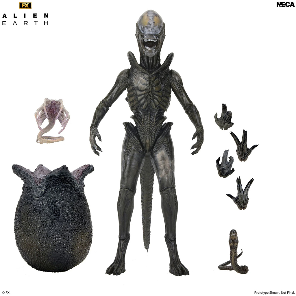 NECA Alien: Earth - Wendy's Xenomorph Ultimate 7