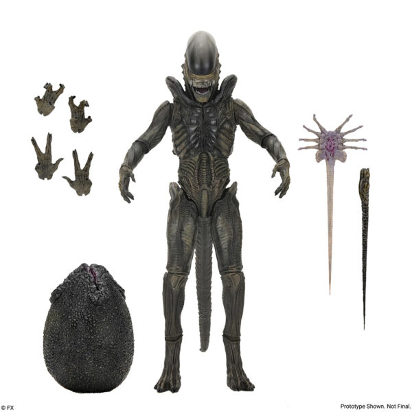 NECA Alien: Terre - Figurine d'action ultime Xenomorph à l'échelle 7"