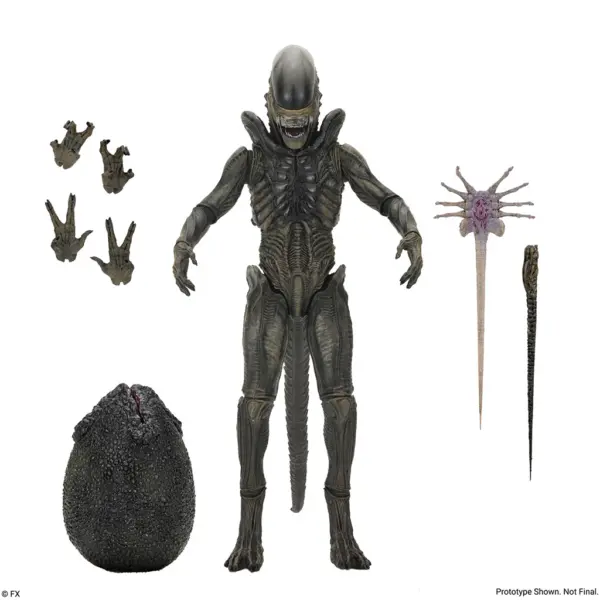 NECA Alien: Earth - Xenomorph Ultimate 7" Actionfigur
