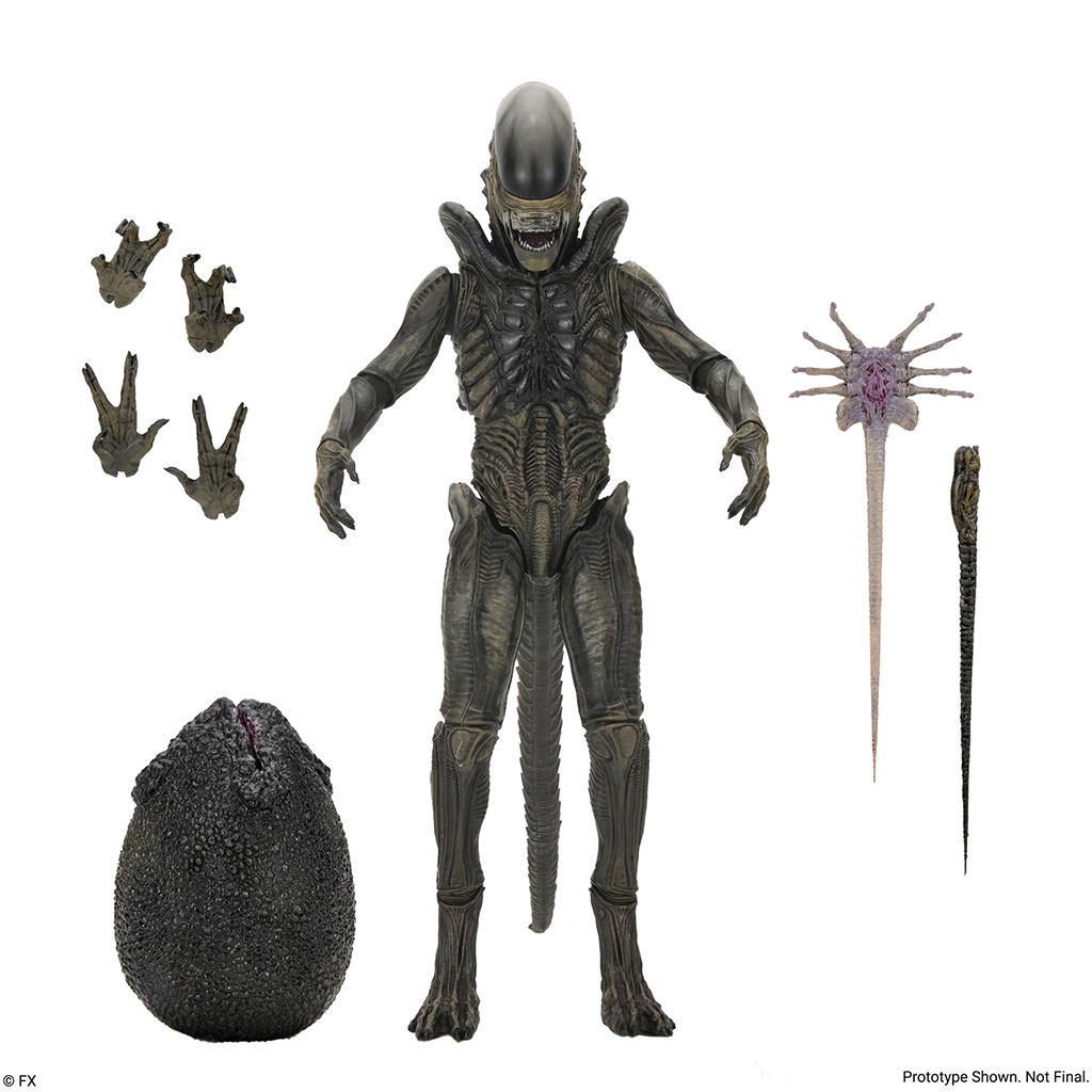 NECA Alien : Terre - Xénomorphe Ultime 7