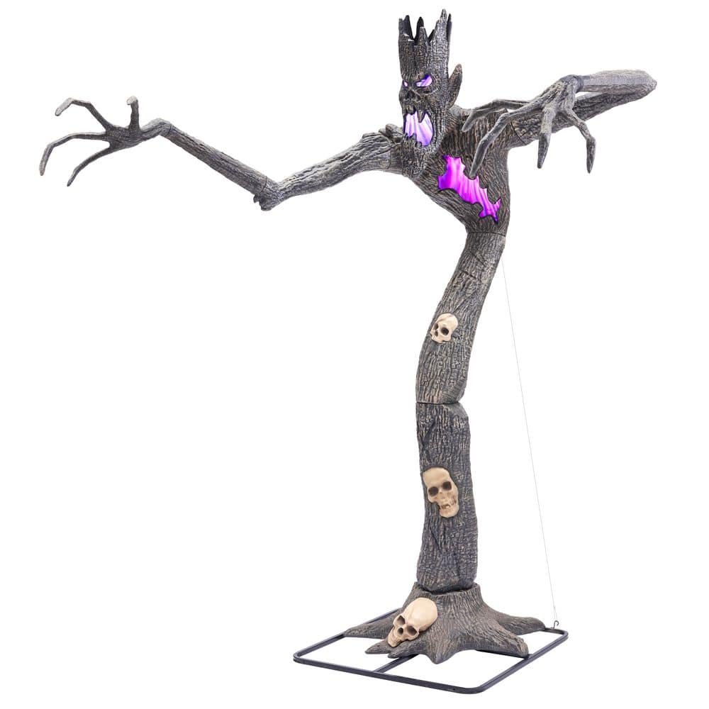 9ft Wicked Woods Dry Rot Dennis
