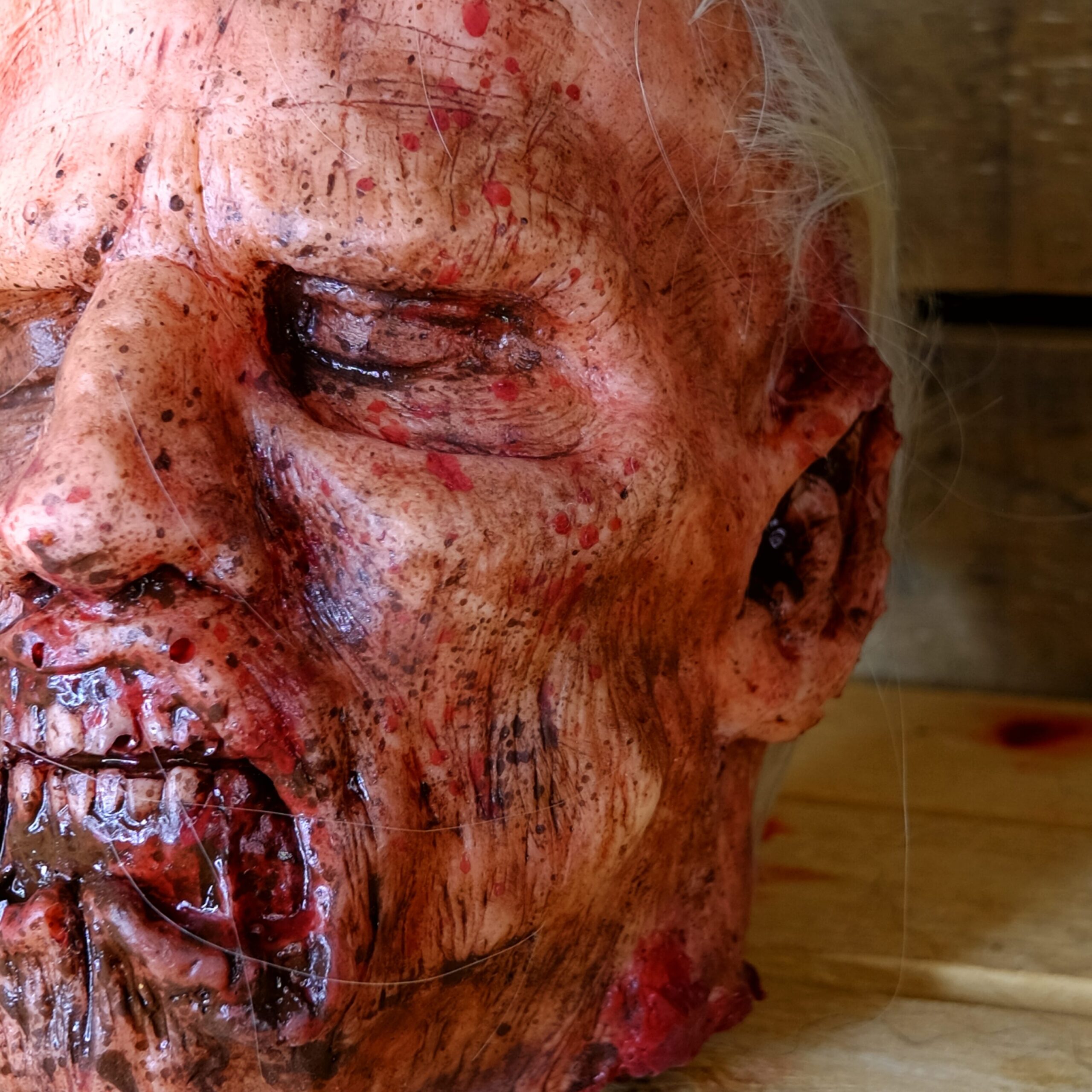 Realistic Severed Zombie Head - Decay