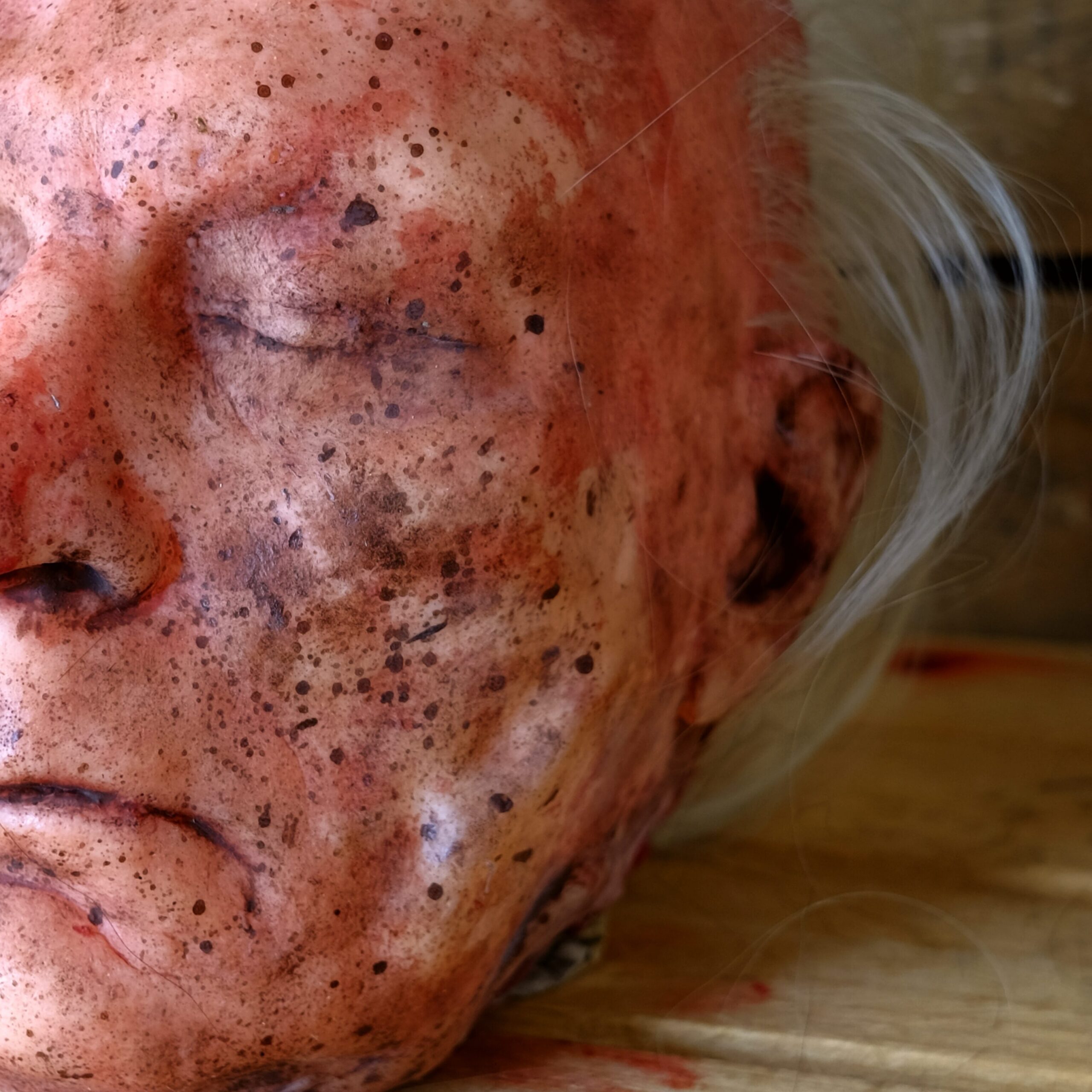 Realistic Severed Silicone Head - Roger