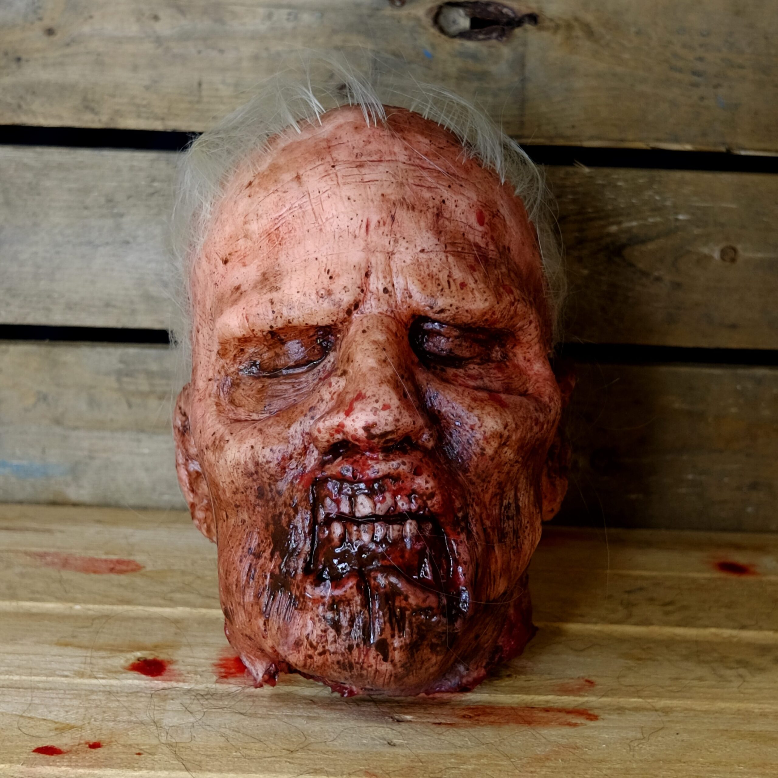 Realistic Severed Zombie Head - Decay