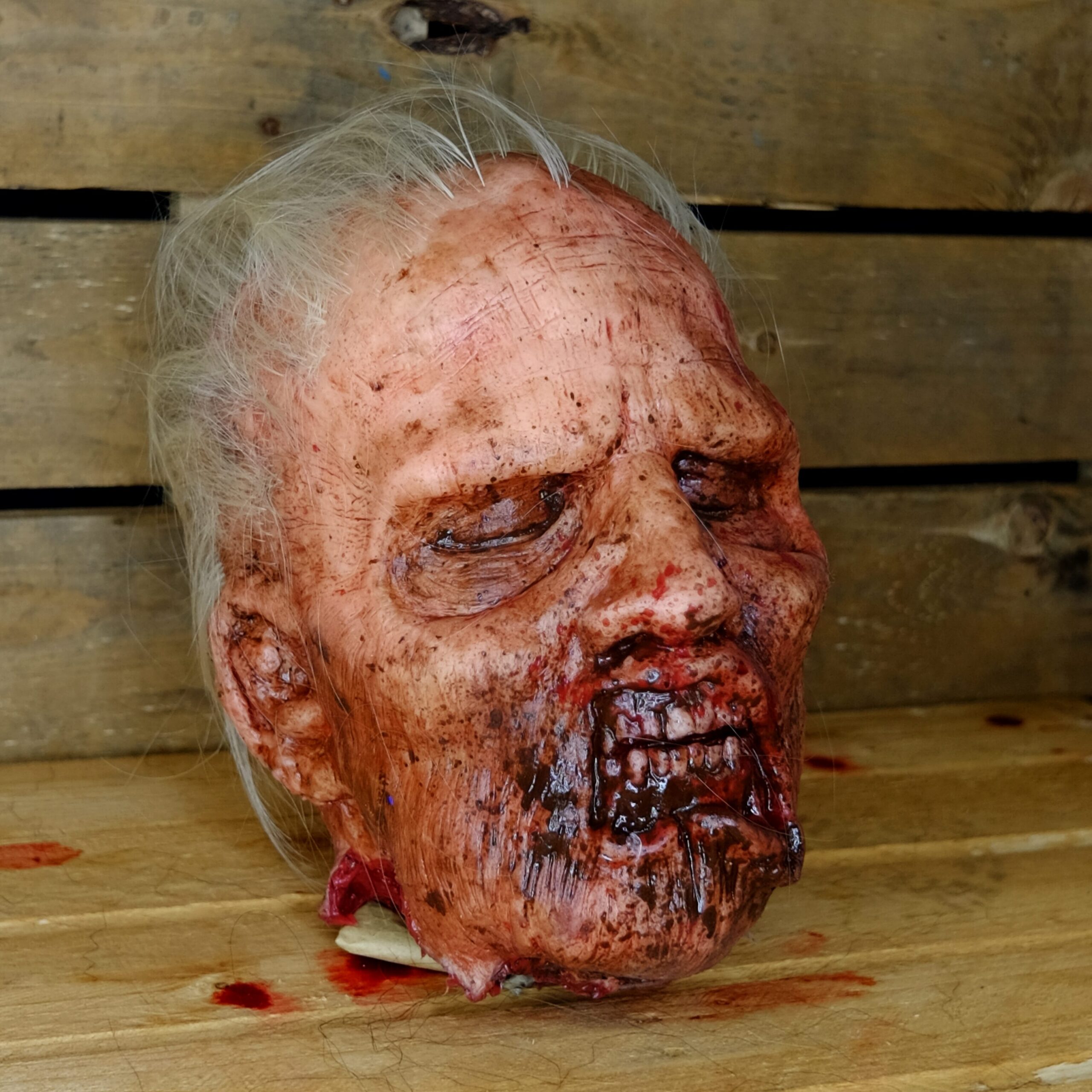 Realistic Severed Zombie Head - Decay