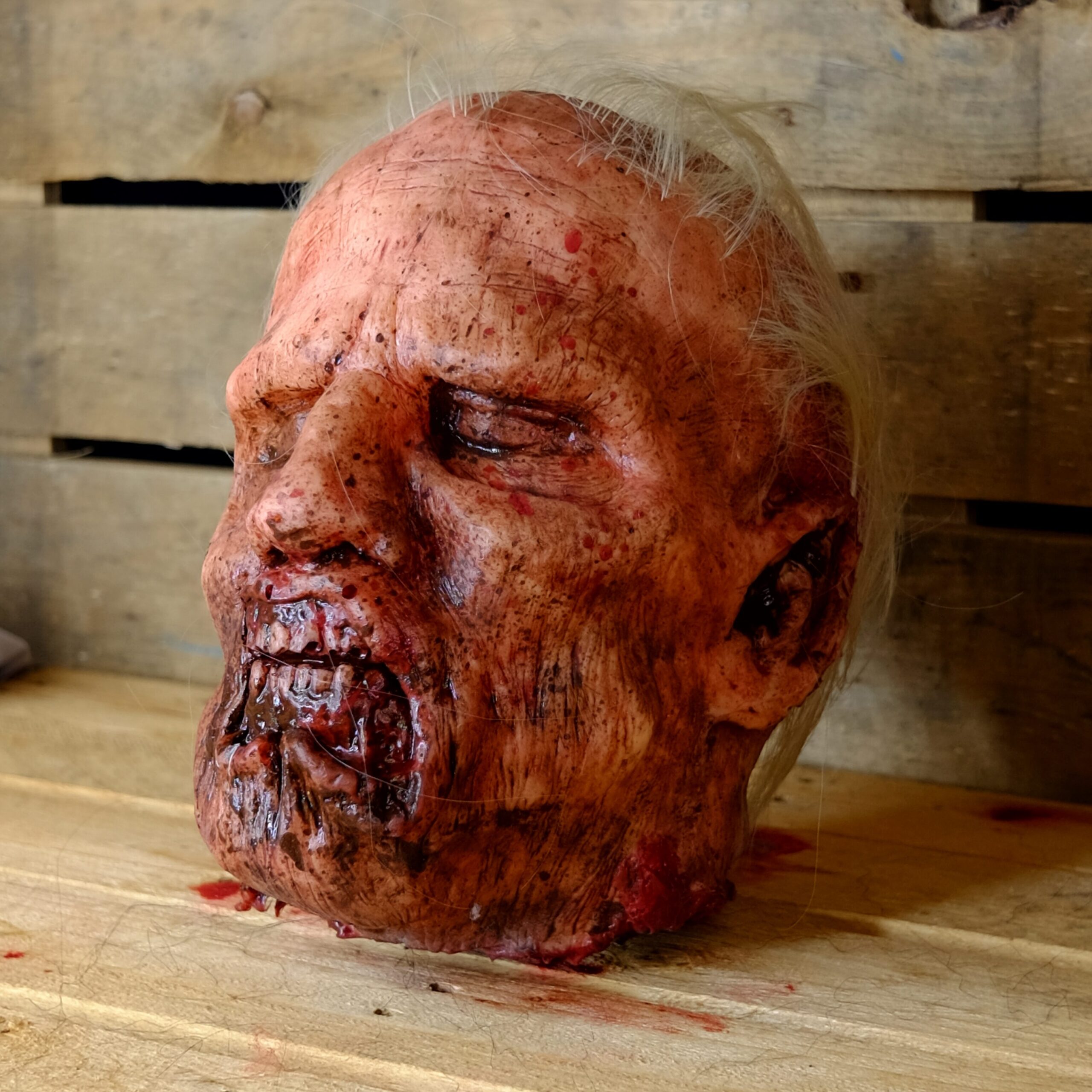 Realistic Severed Zombie Head - Decay