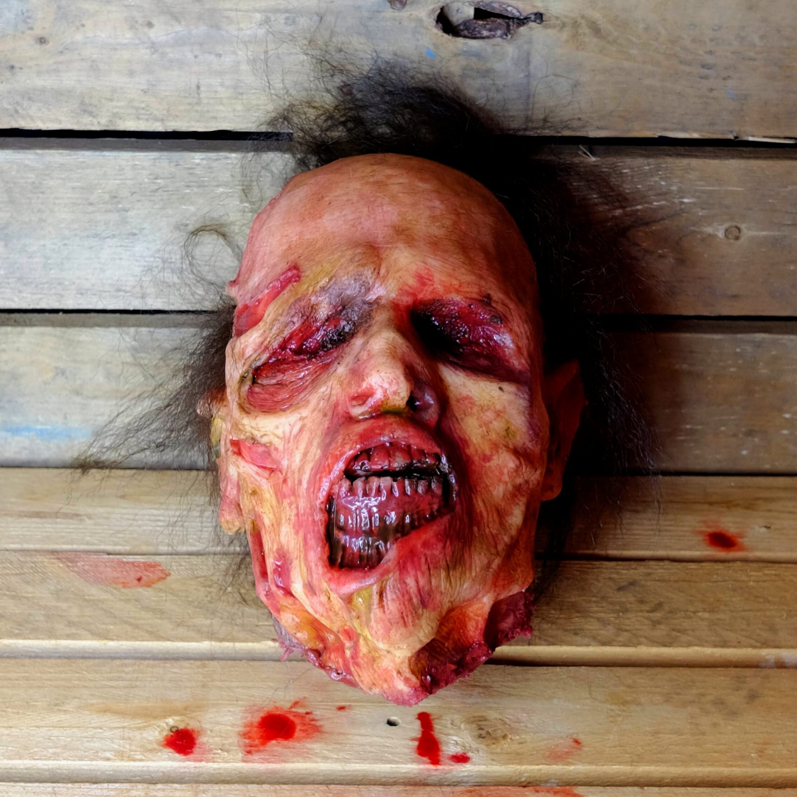 Realistic Severed Zombie Head - Walker