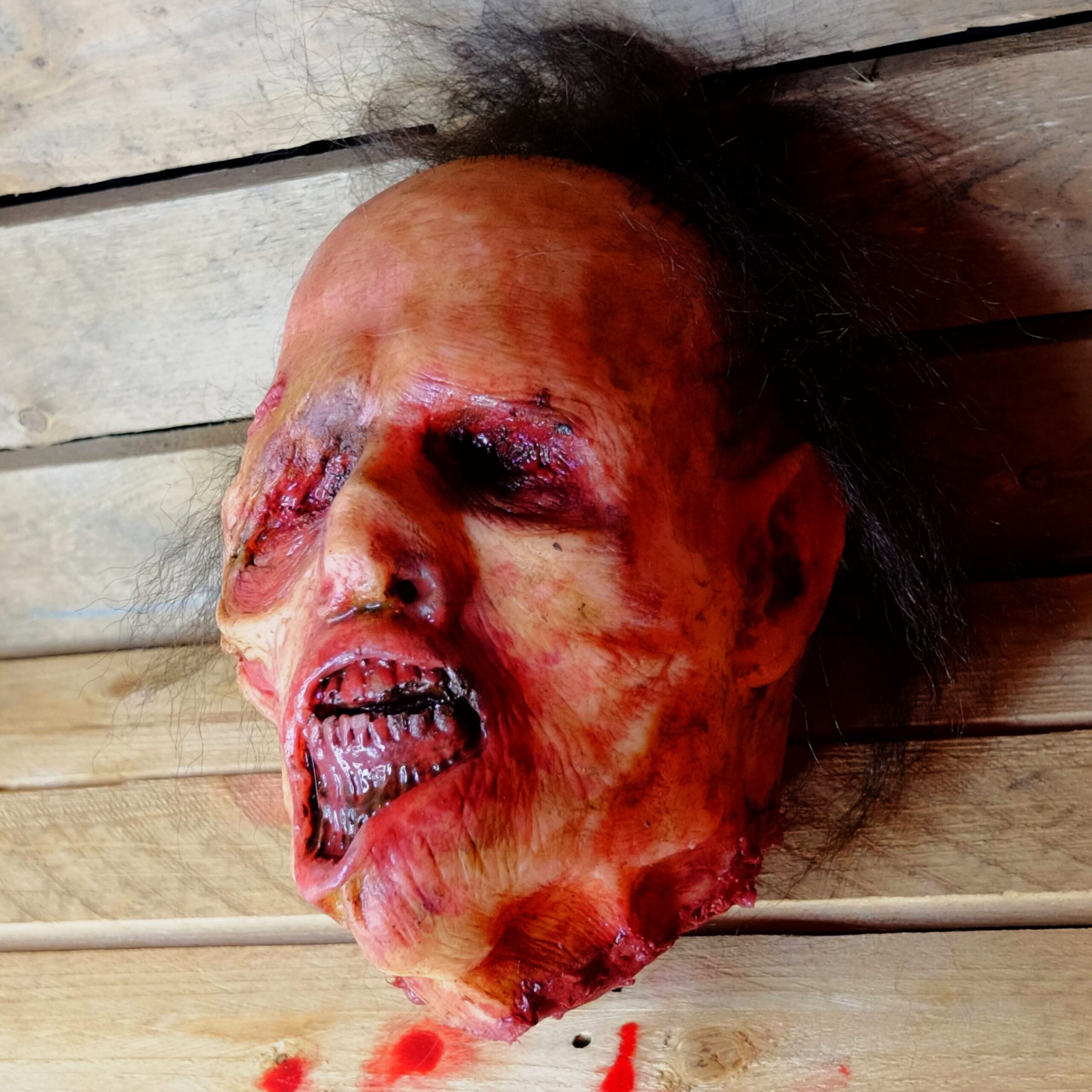 Realistic Severed Zombie Head - Walker