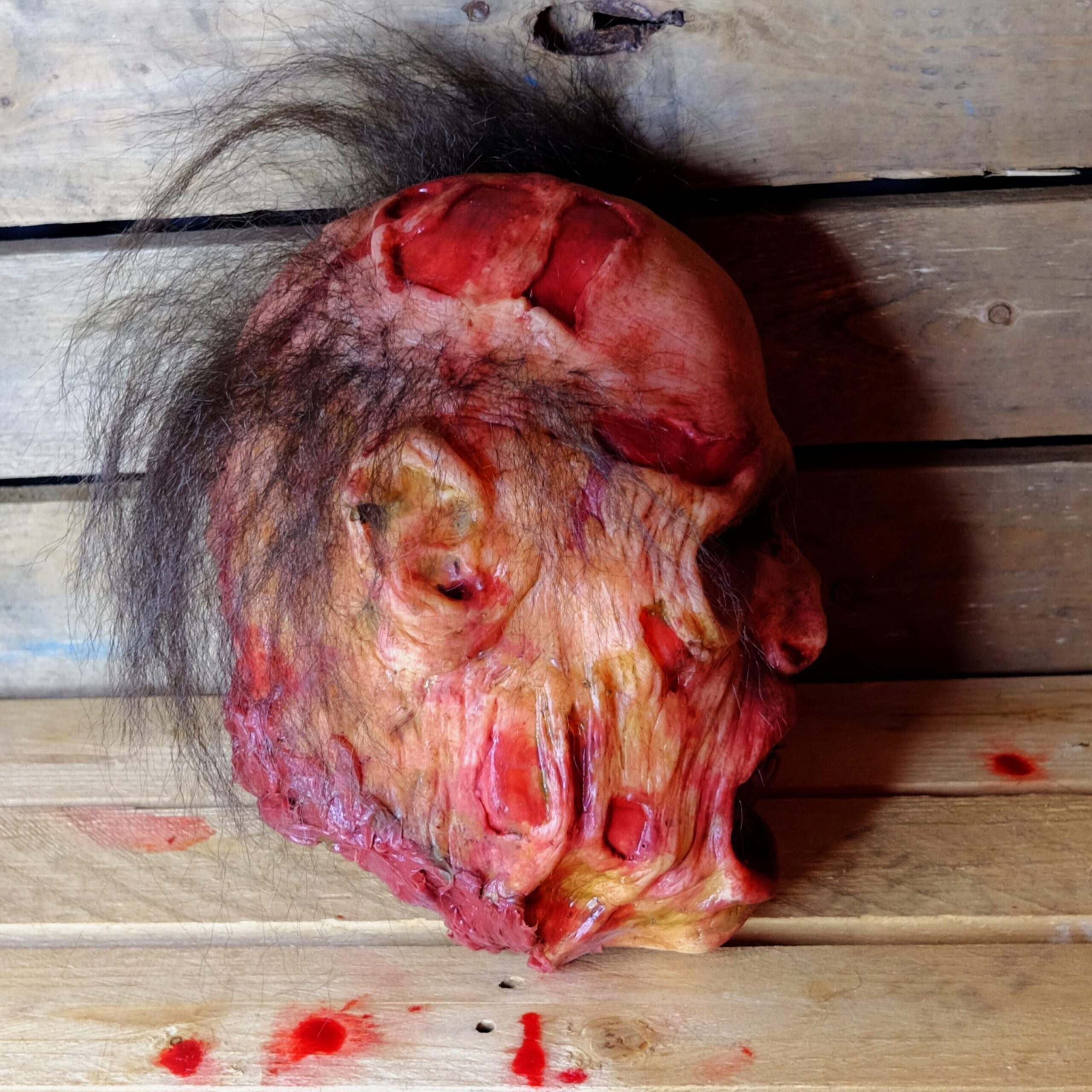 Realistic Severed Zombie Head - Walker