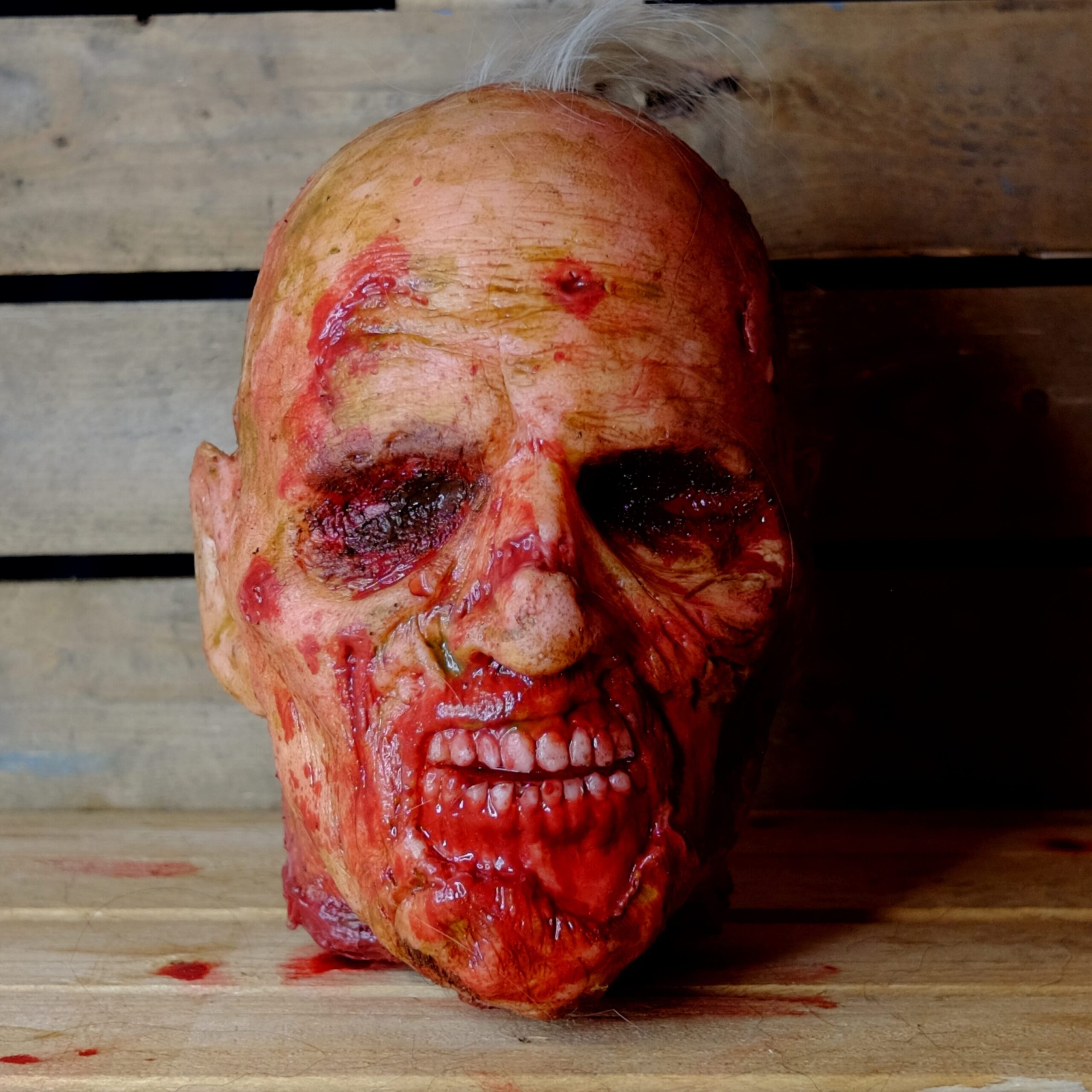 Realistic Rotten Severed Zombie Head - Biter